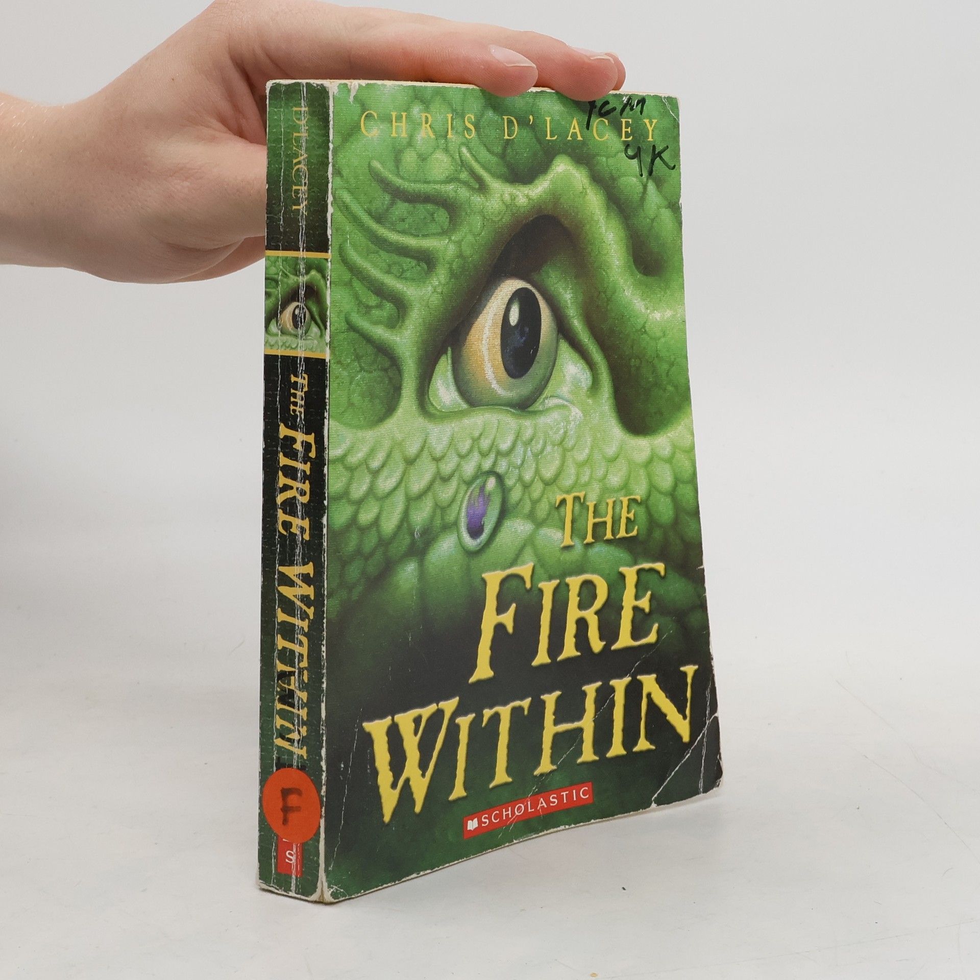 Chris DLacey The Fire Within
