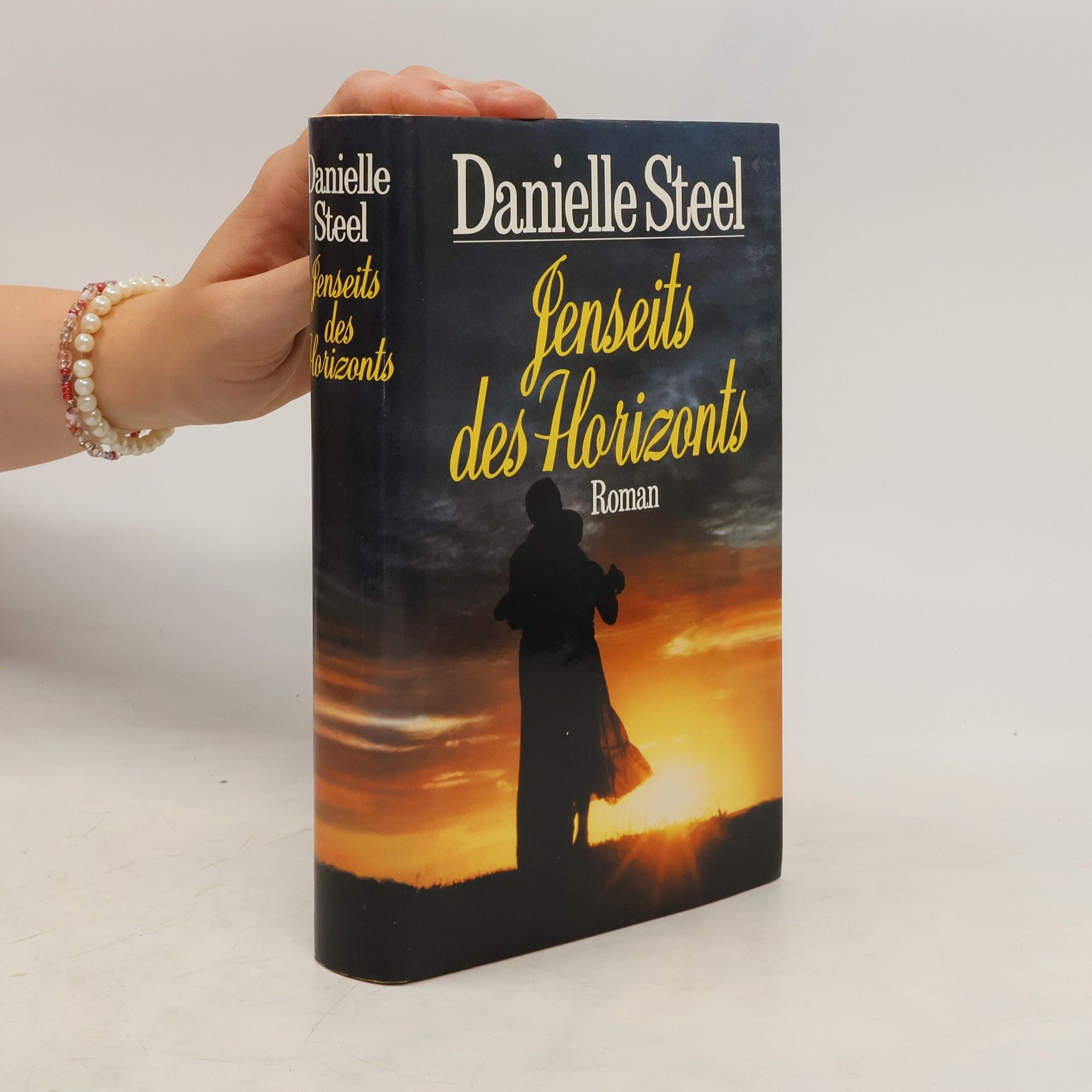Danielle Steel Jenseits des Horizonts