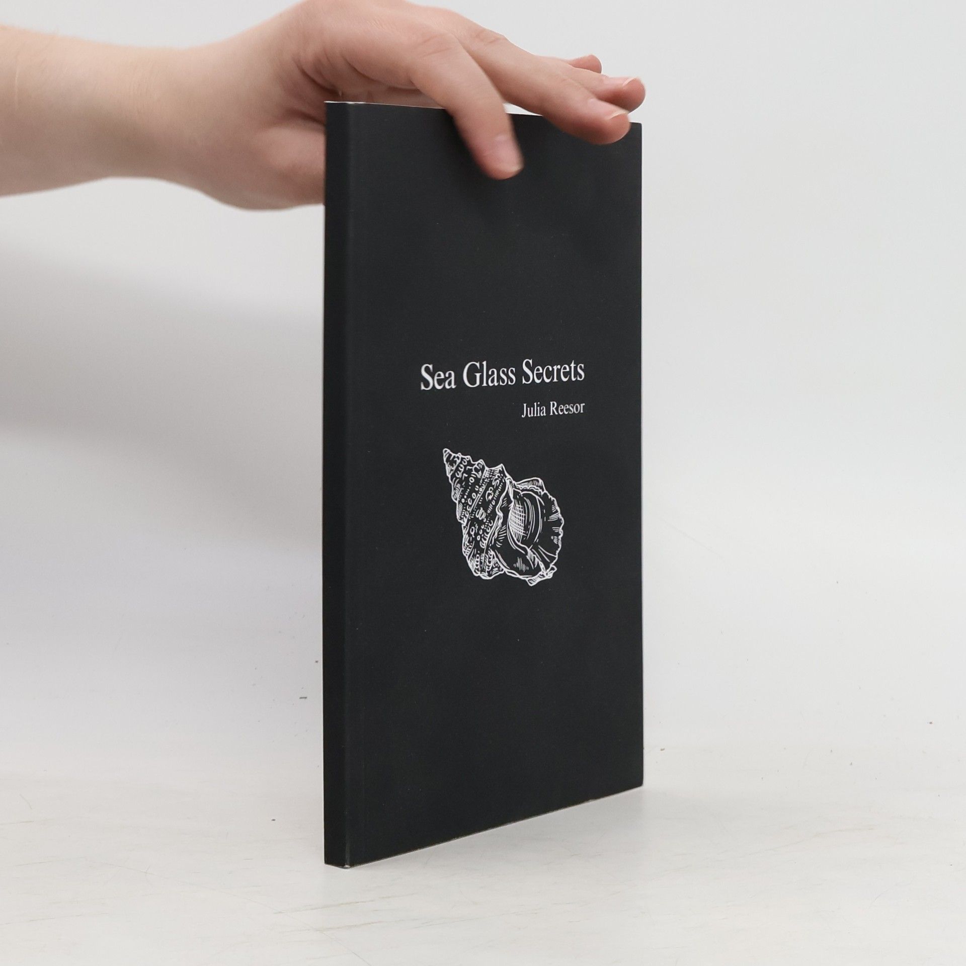 Julia Reesor Sea Glass Secrets