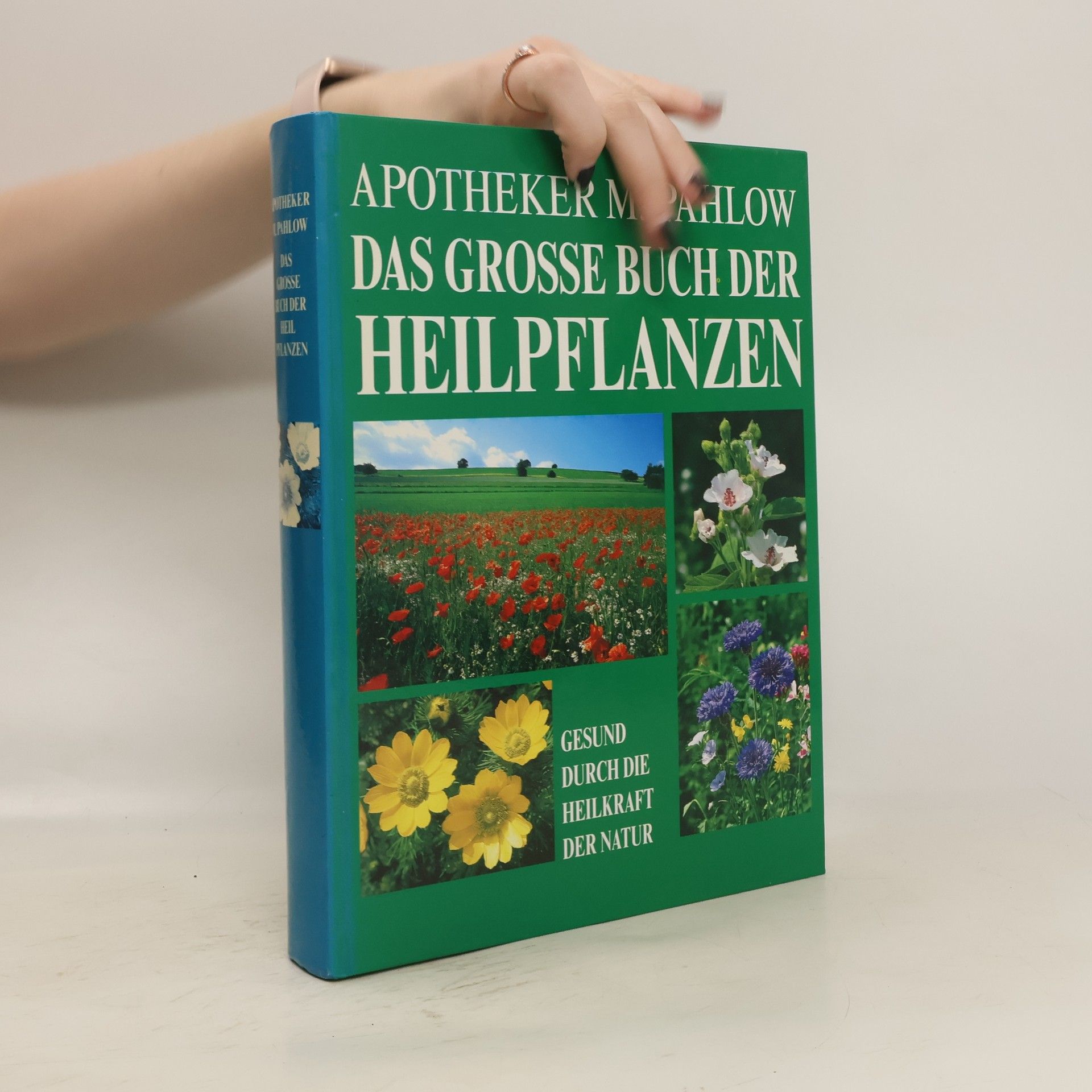 Mannfried Pahlow Das Große Buch der Heilpflanzen. Gesund durch die Heilkräfte der Natur
