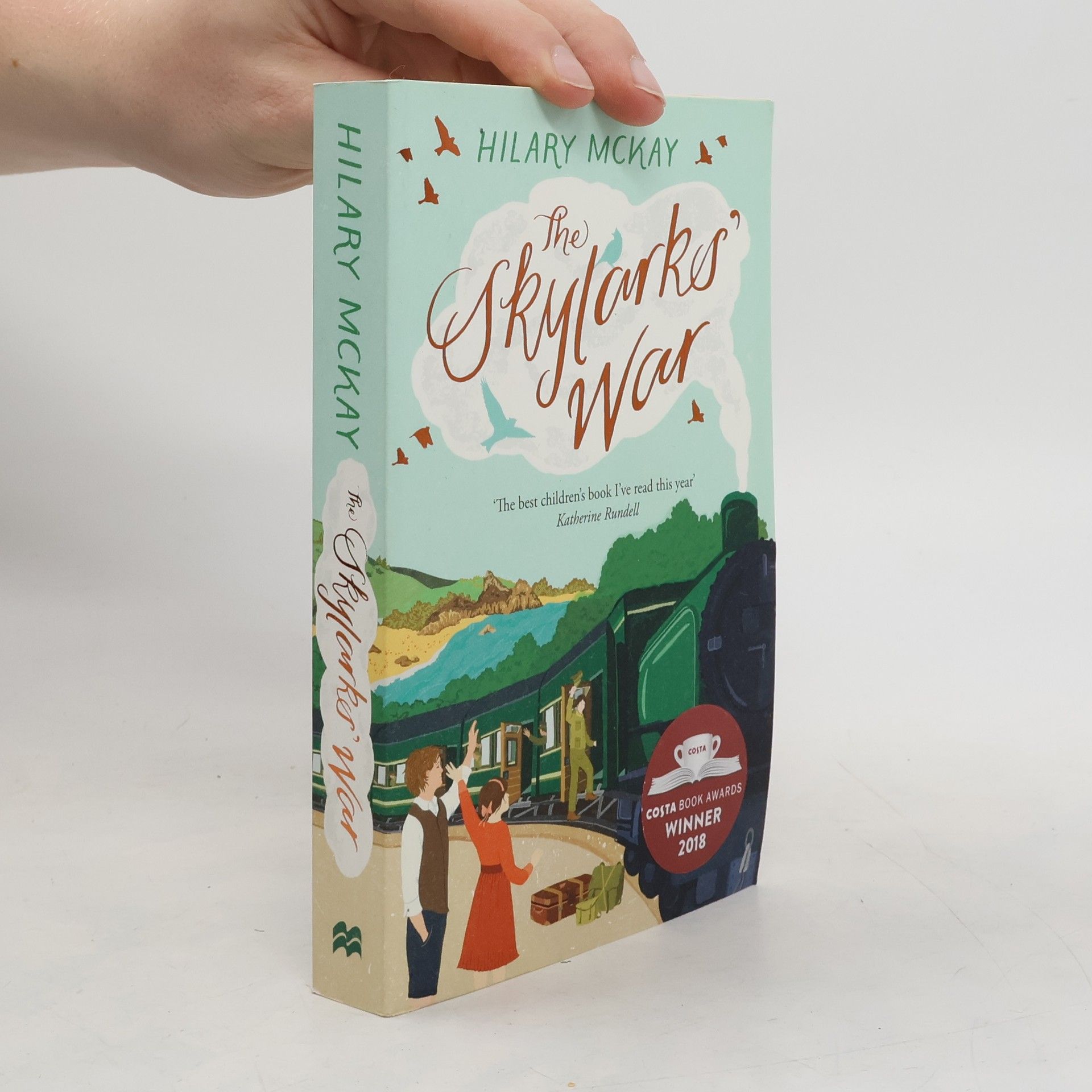 Hilary McKay The Skylarks' War