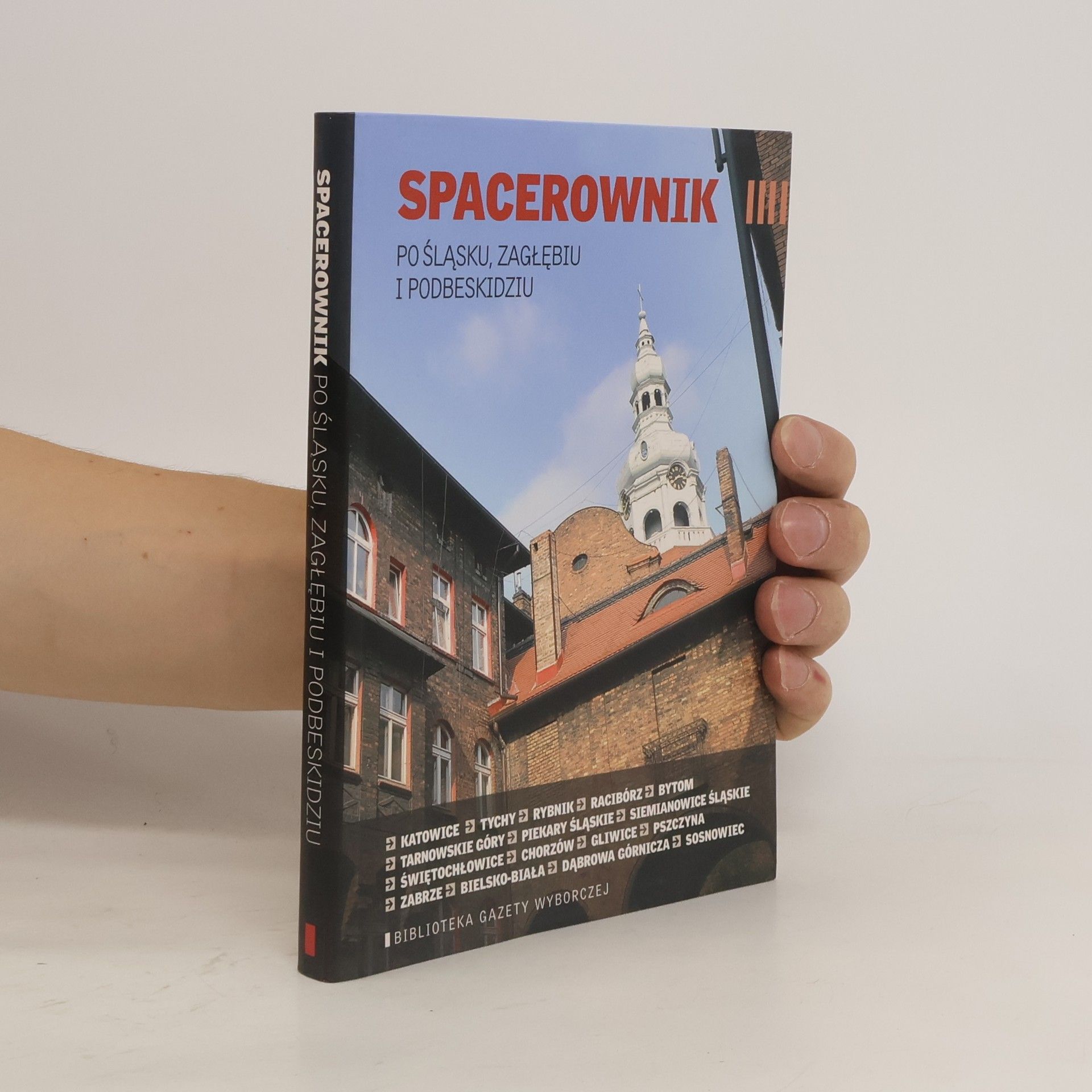 Beata Żurek Spacerownik po Śląsku, Zagłębiu i Podbeskidziu