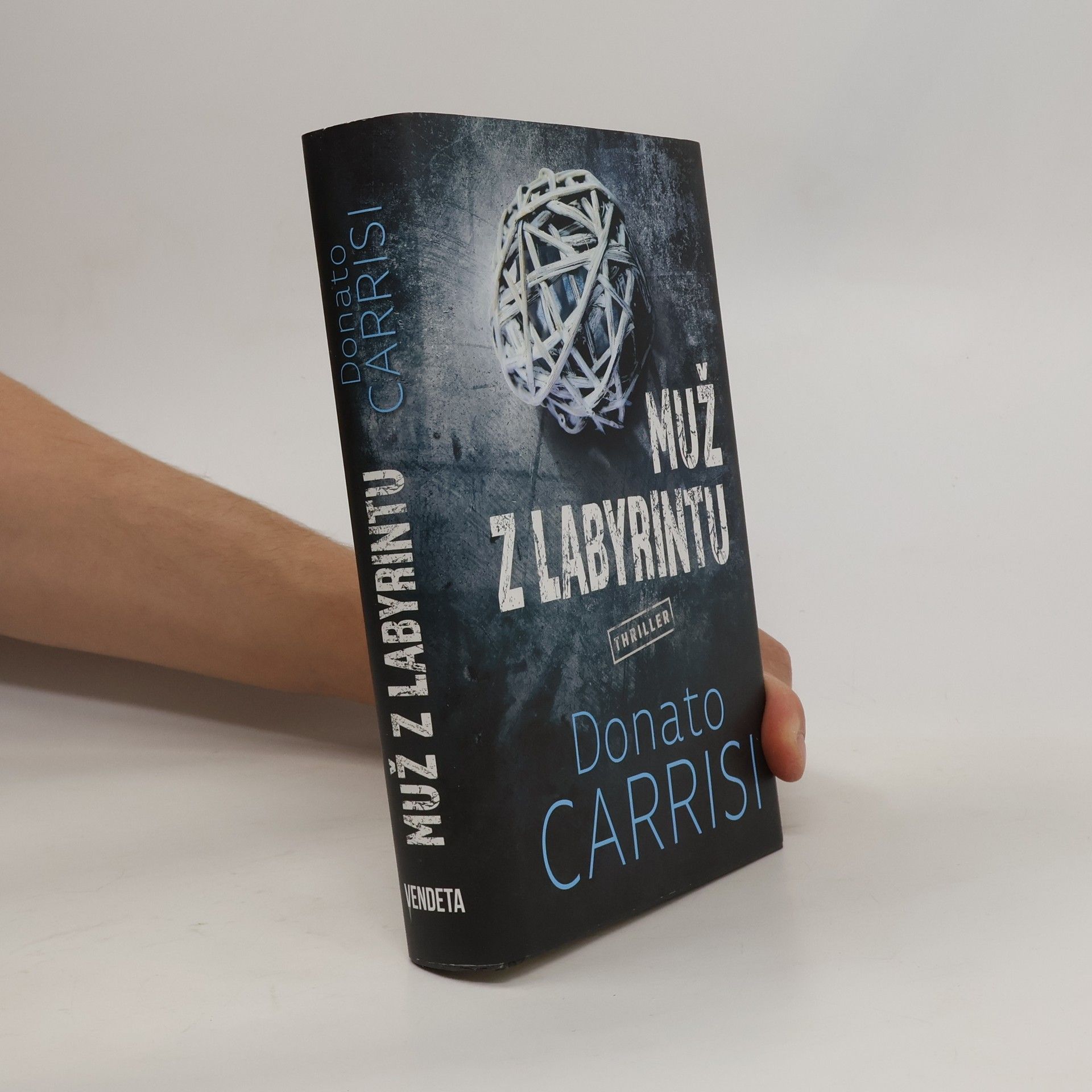 Donato Carrisi Muž v labyrintu