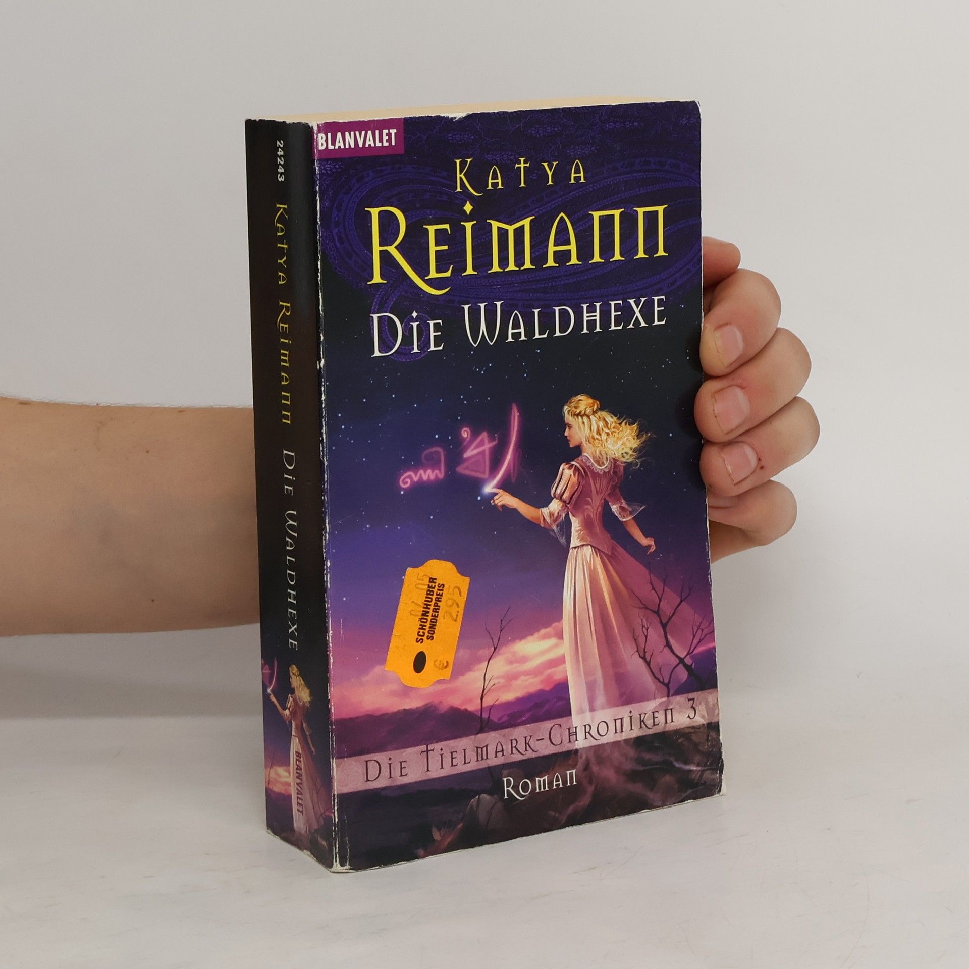 Katya Reimann Die Waldhexe. Roman
