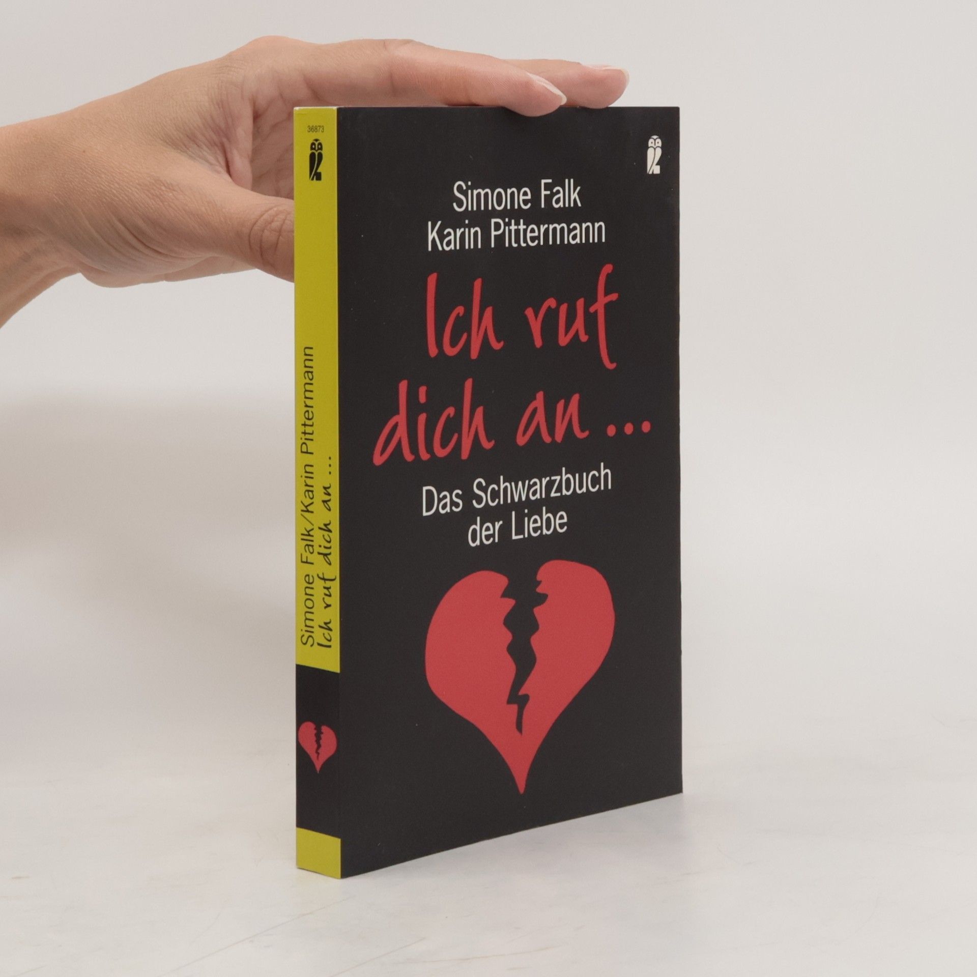 Simone Falk Ich ruf dich an ...