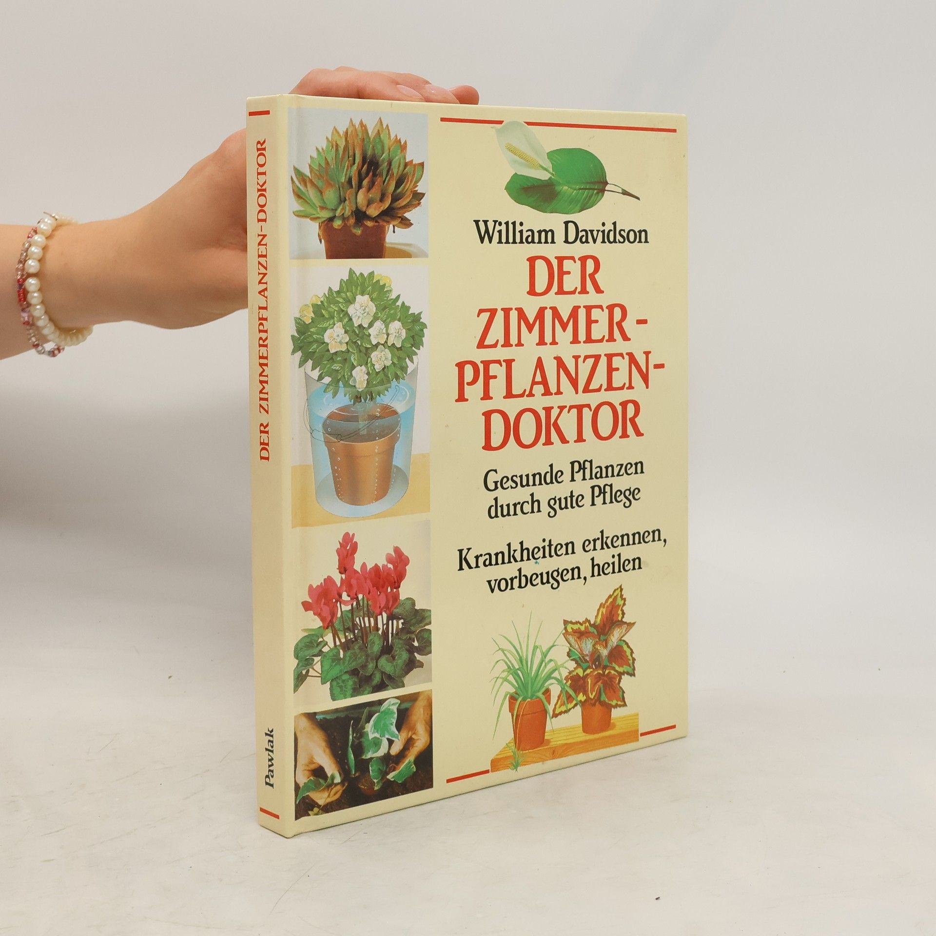 William Davidson Der Zimmerpflanzendoktor