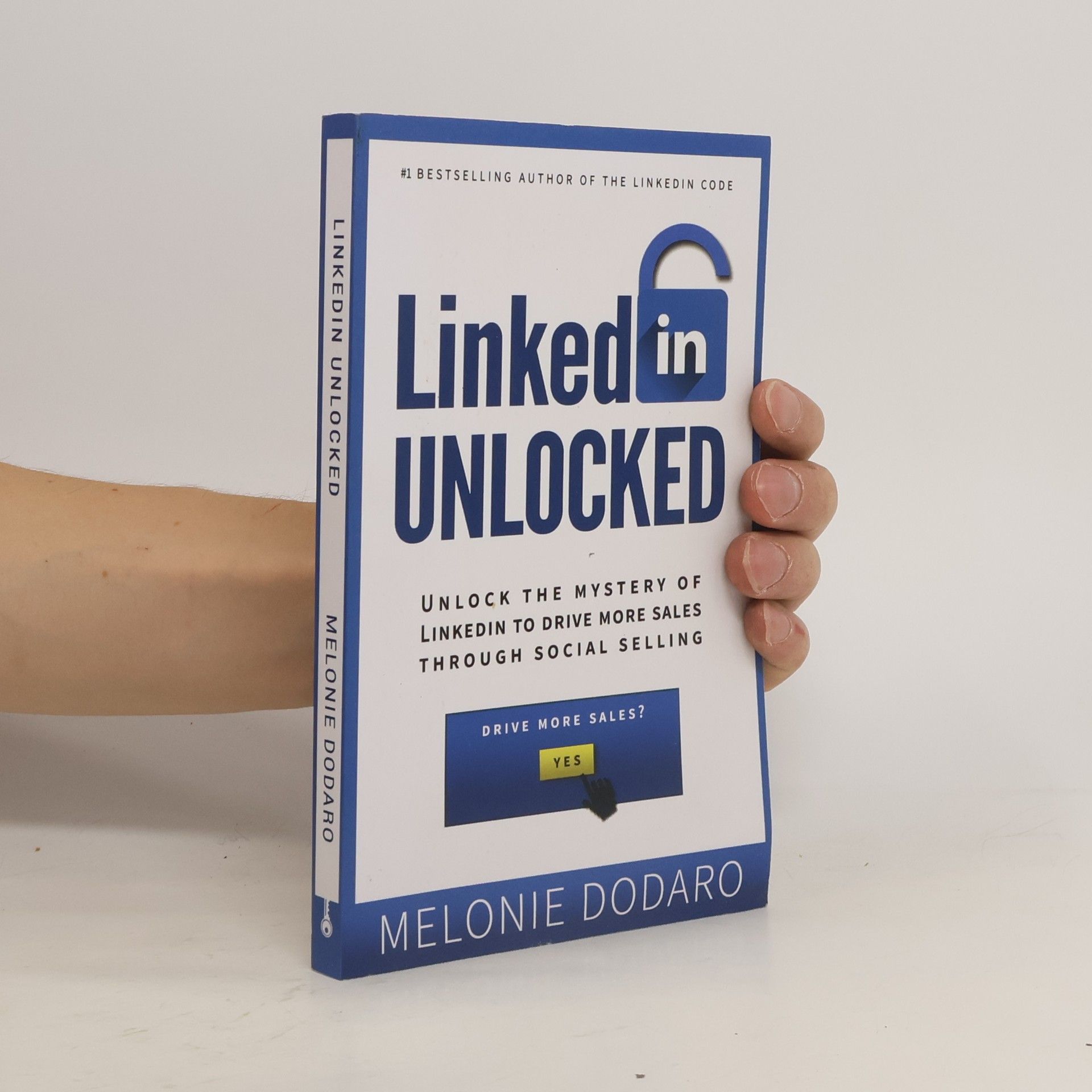 Melonie Dodaro LinkedIn Unlocked