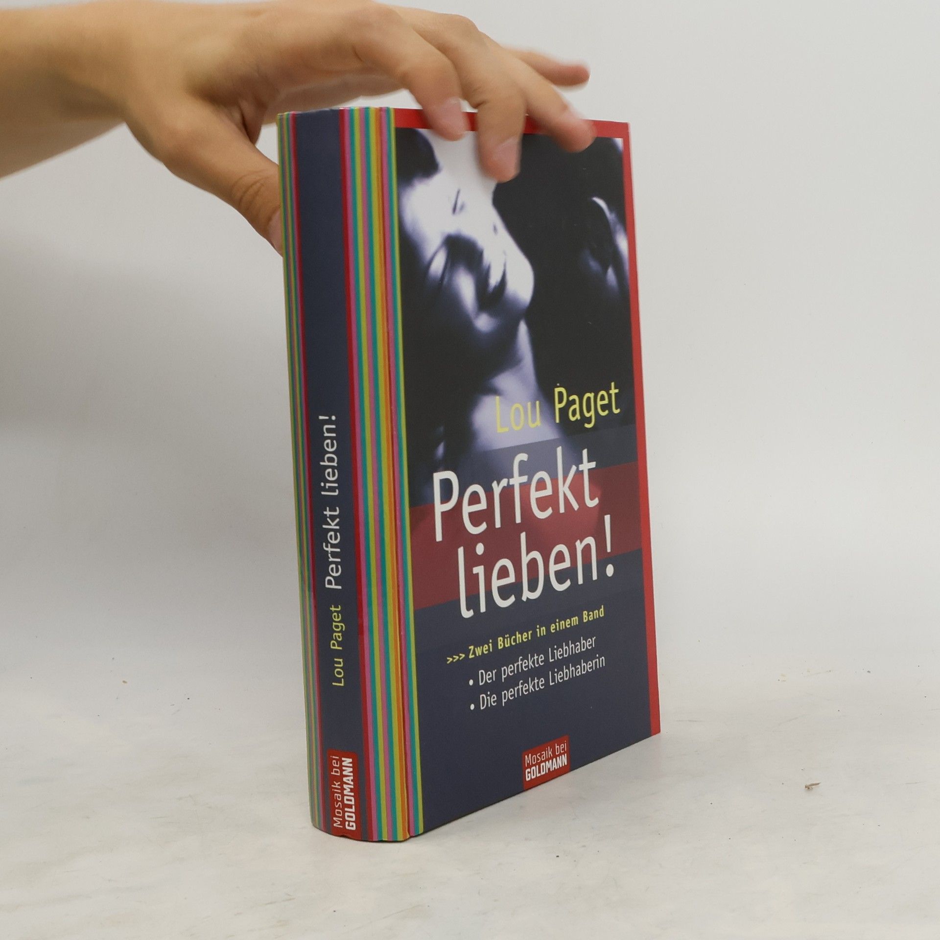 Lou Paget Perfekt lieben