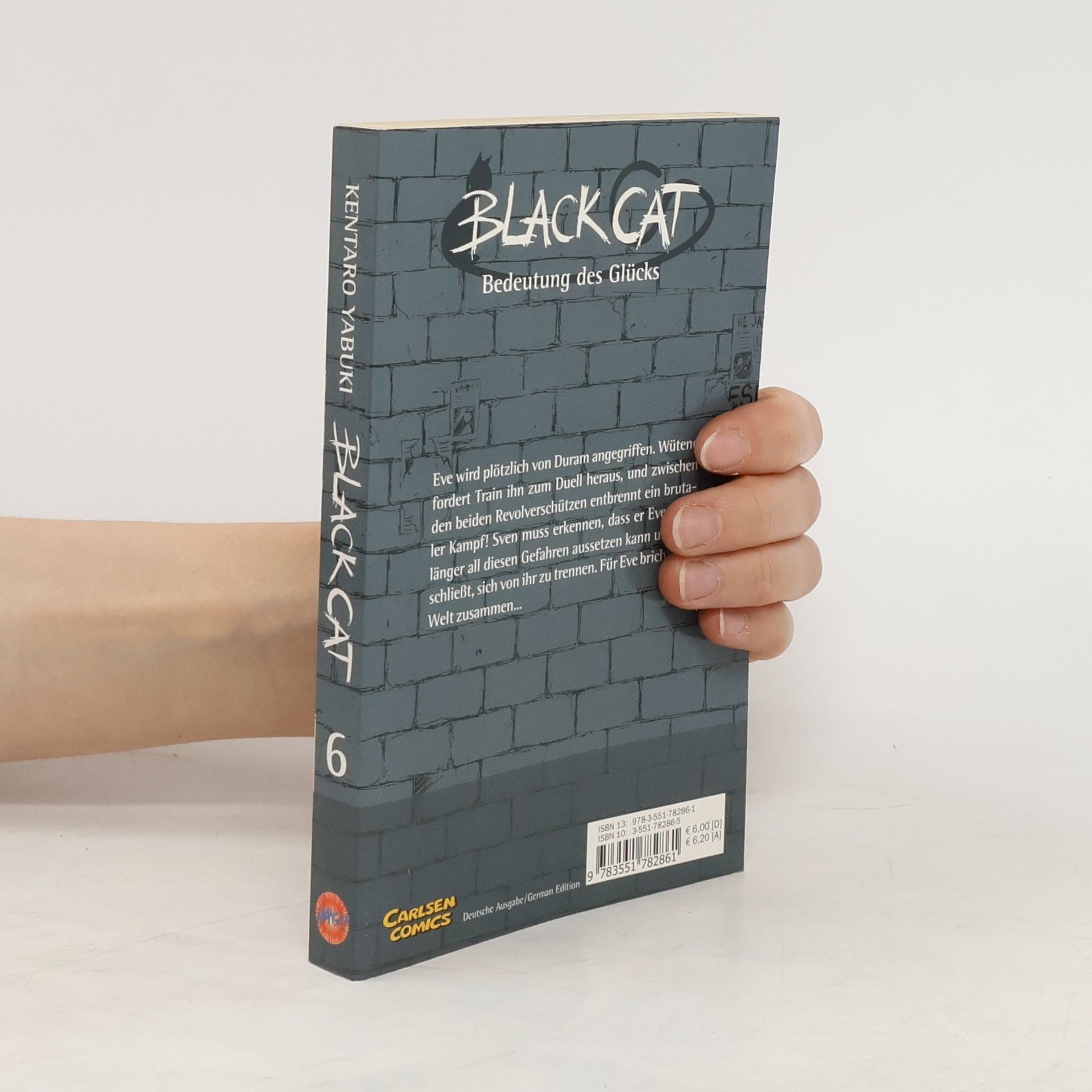 Kentaro Yabuki Black Cat 6