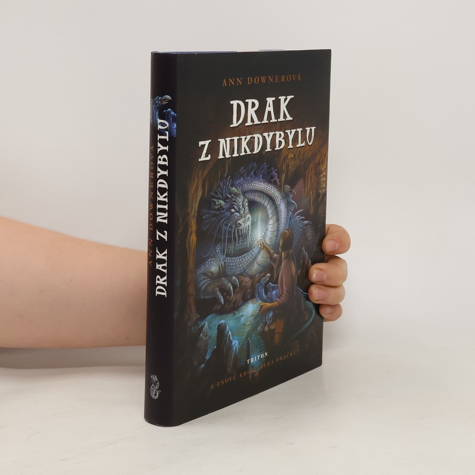 Ann Downer Drak z Nikdybylu