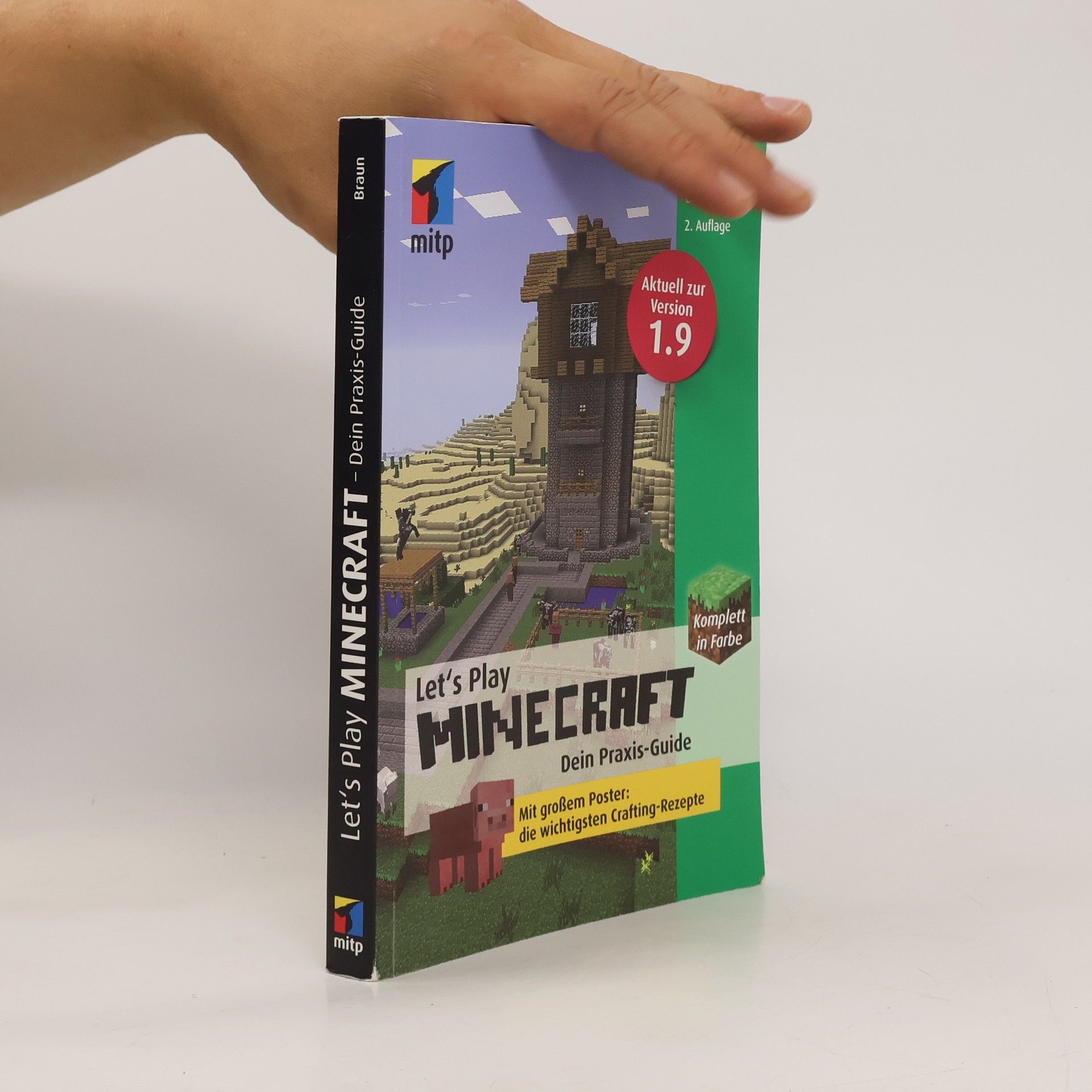 Daniel Braun Let's play Minecraft - dein Praxis-Guide