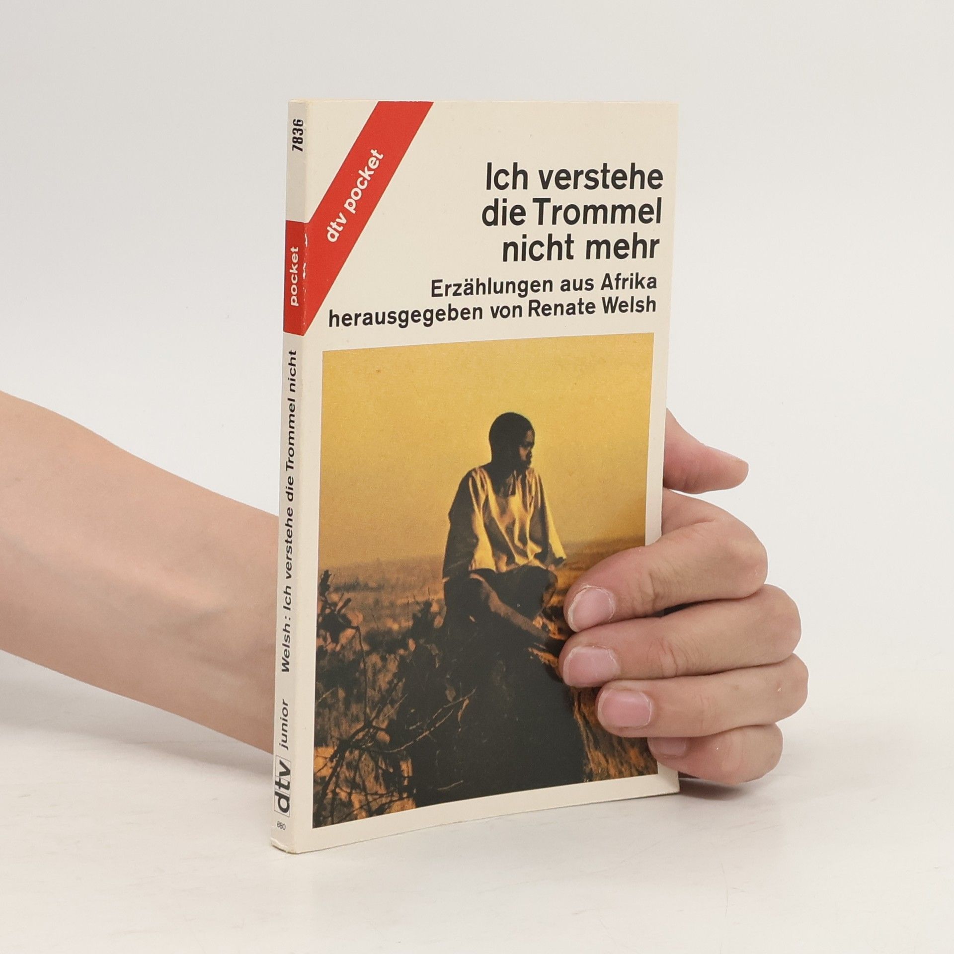 Renate Welsh Ich verstehe die Trommel nicht mehr