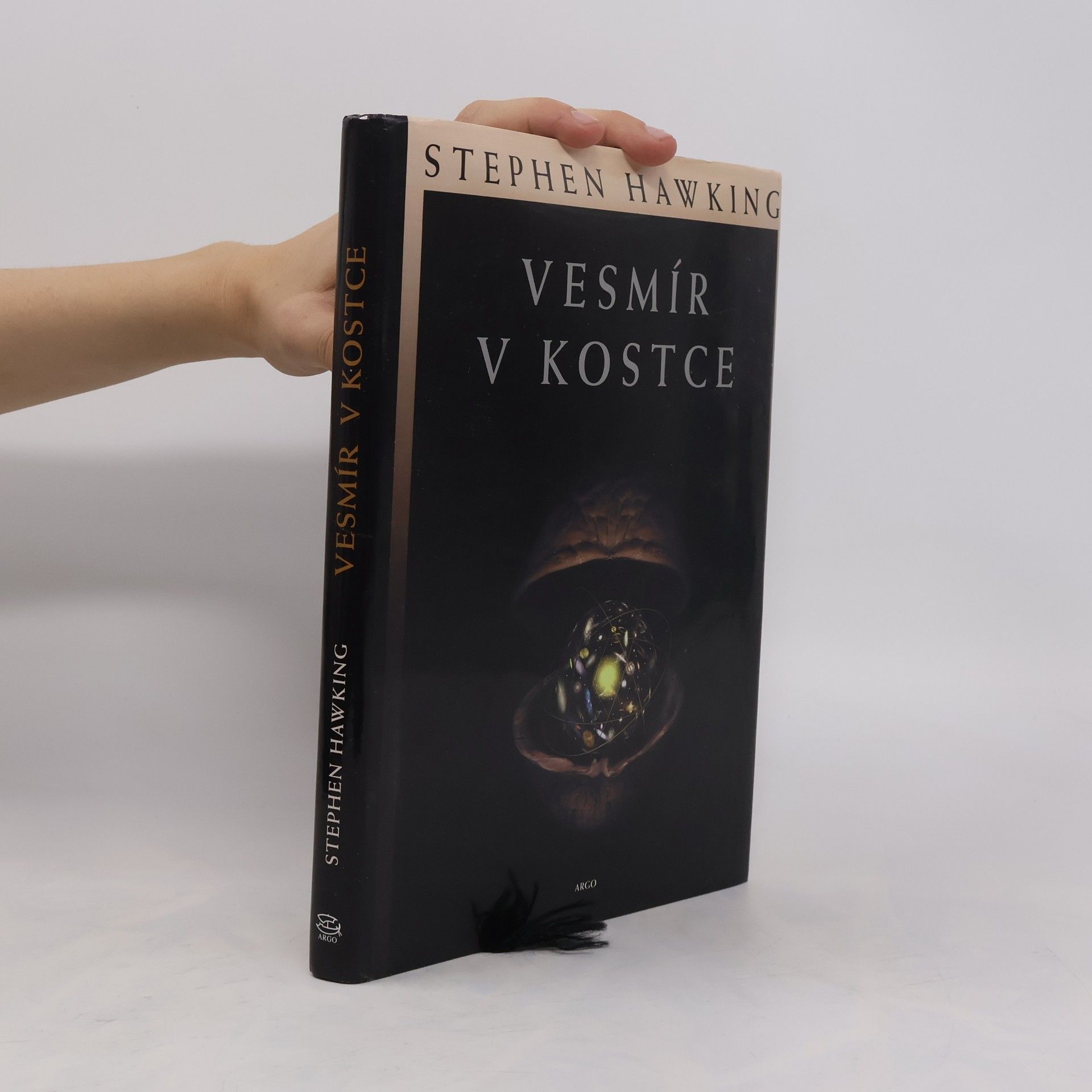 Stephen Hawking Vesmír v kostce