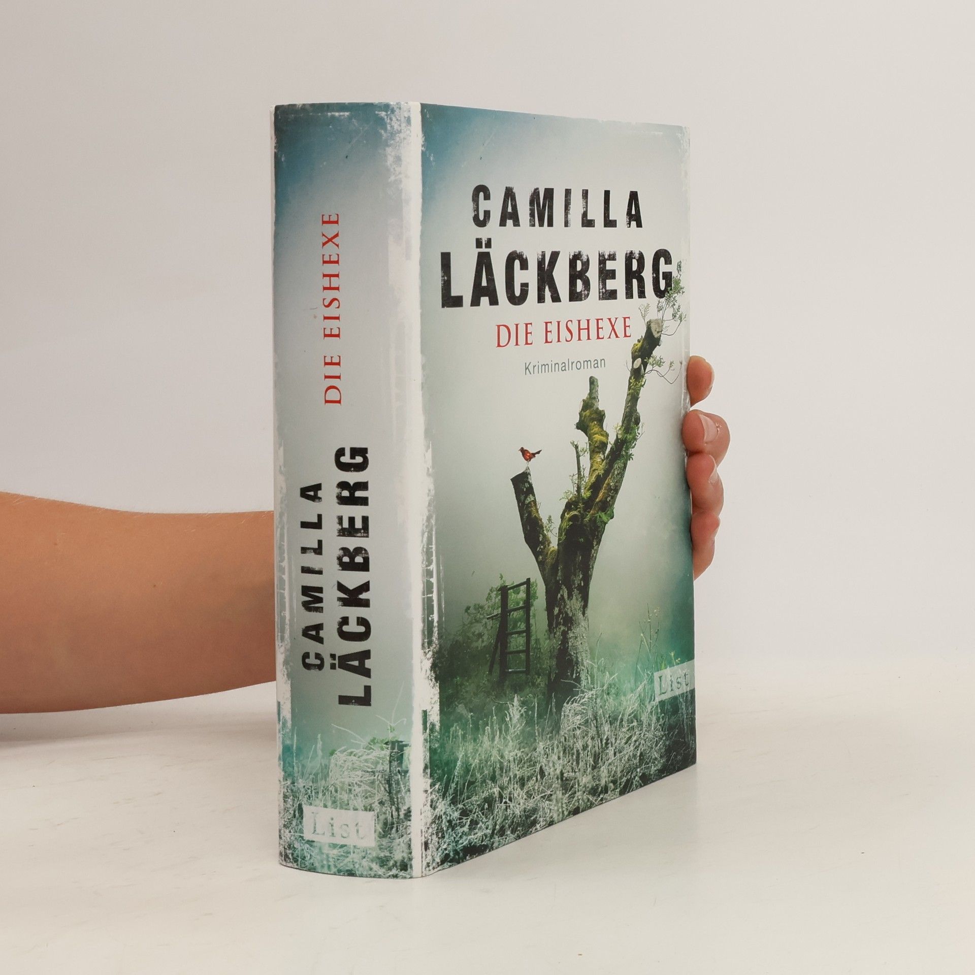 Camilla Läckberg Die Eishexe