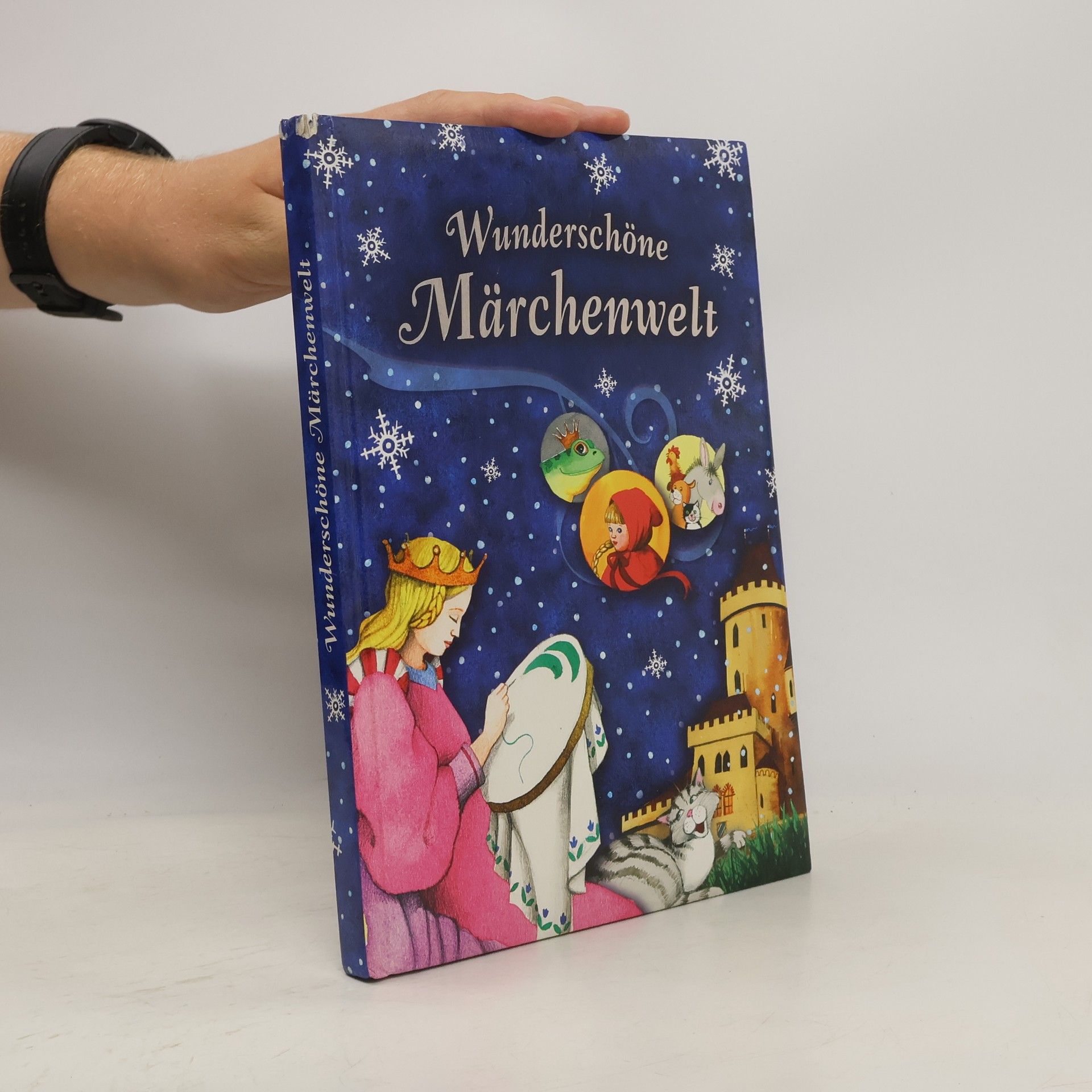 Autores varios Wunderschöne Märchenwelt