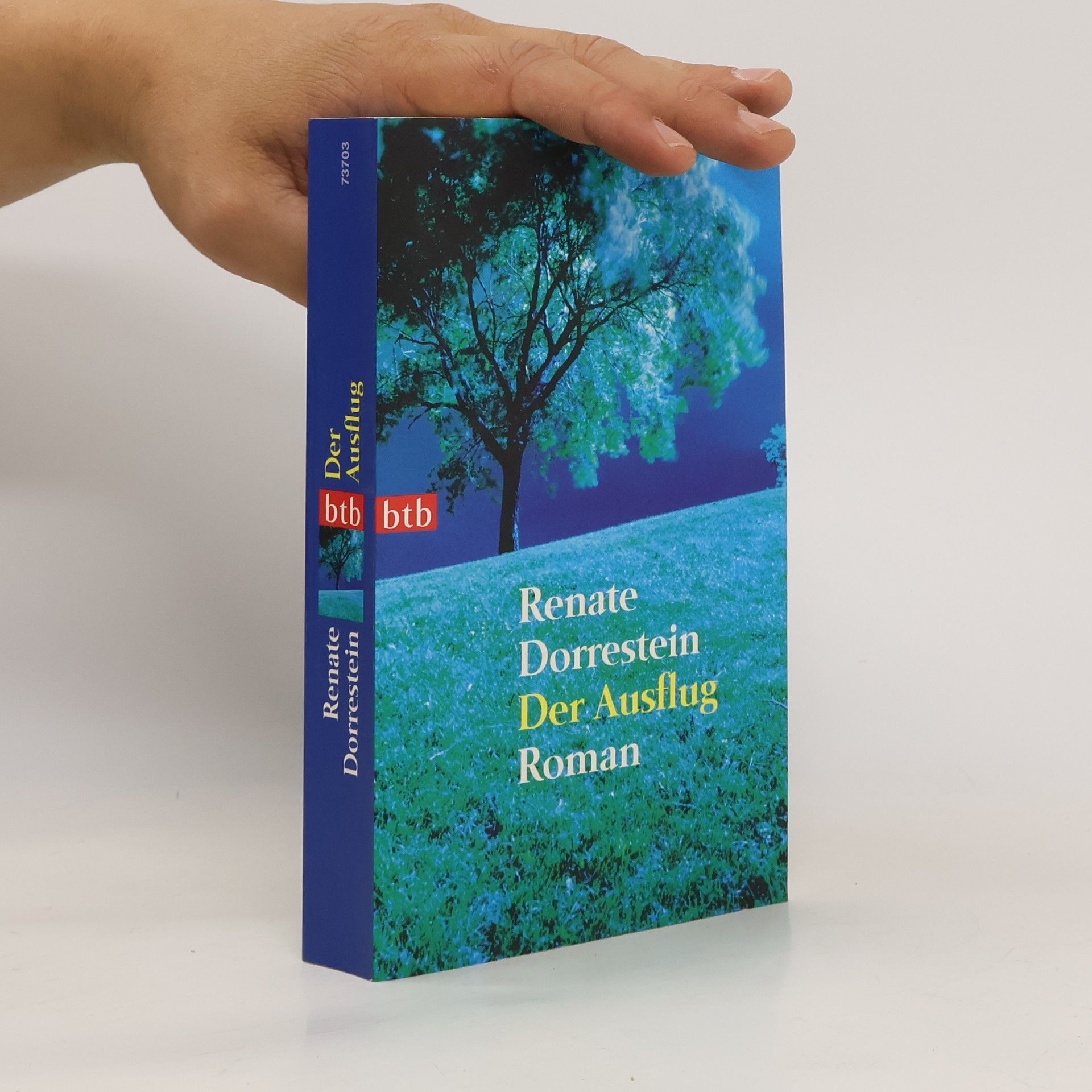 Renate Dorrestein Der Ausflug