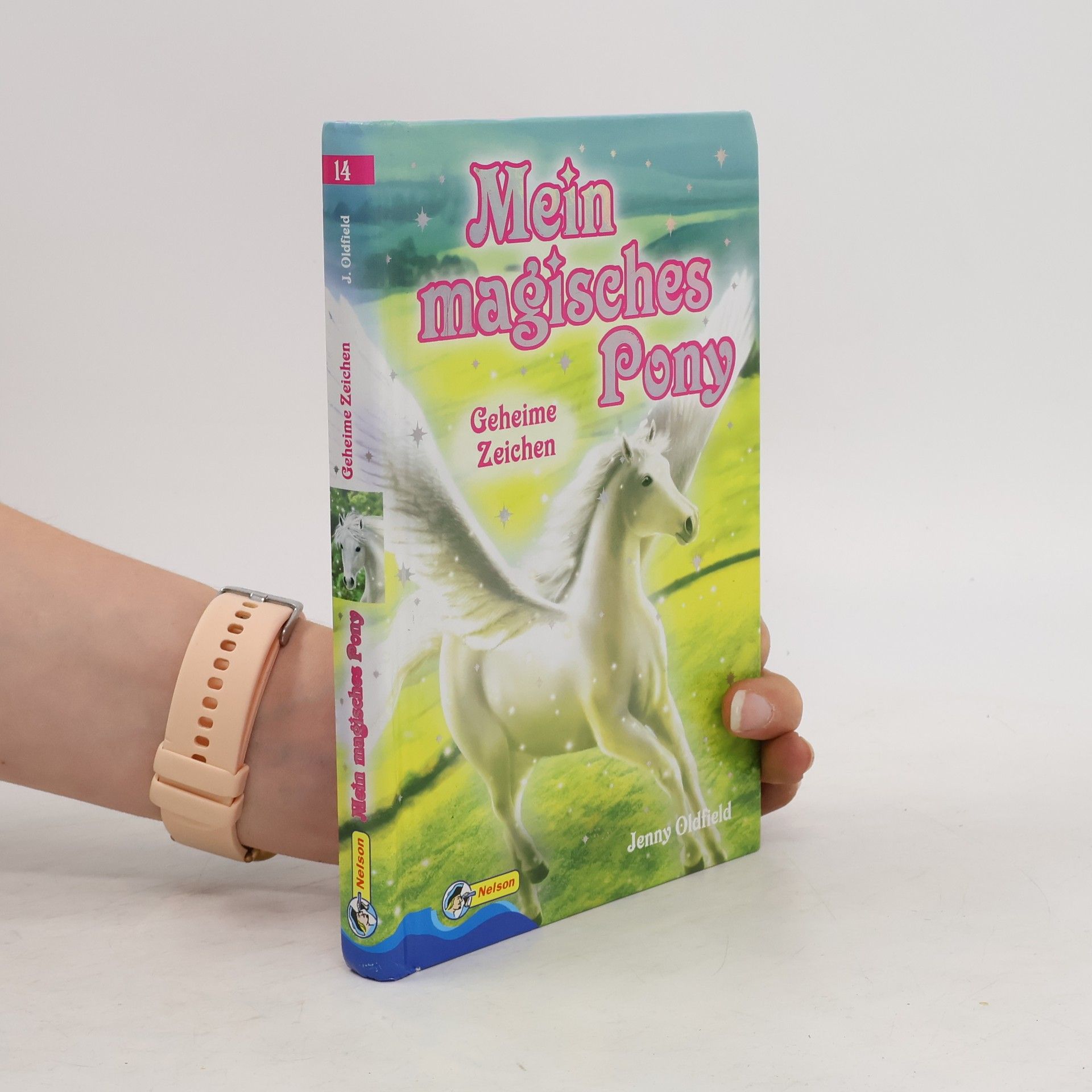 Jenny Oldfield Mein magisches Pony 14