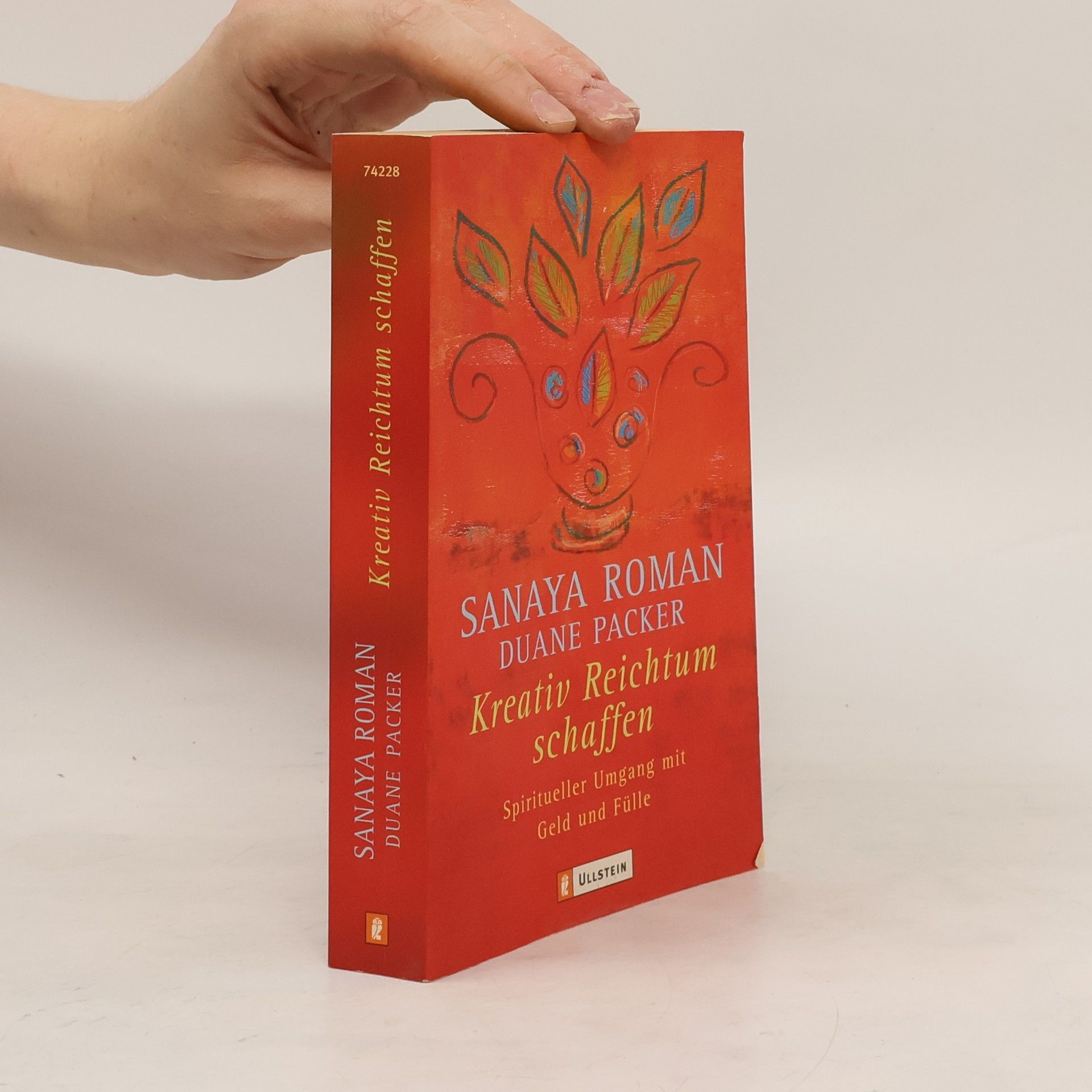 Sanaya Roman Kreativ Reichtum schaffen