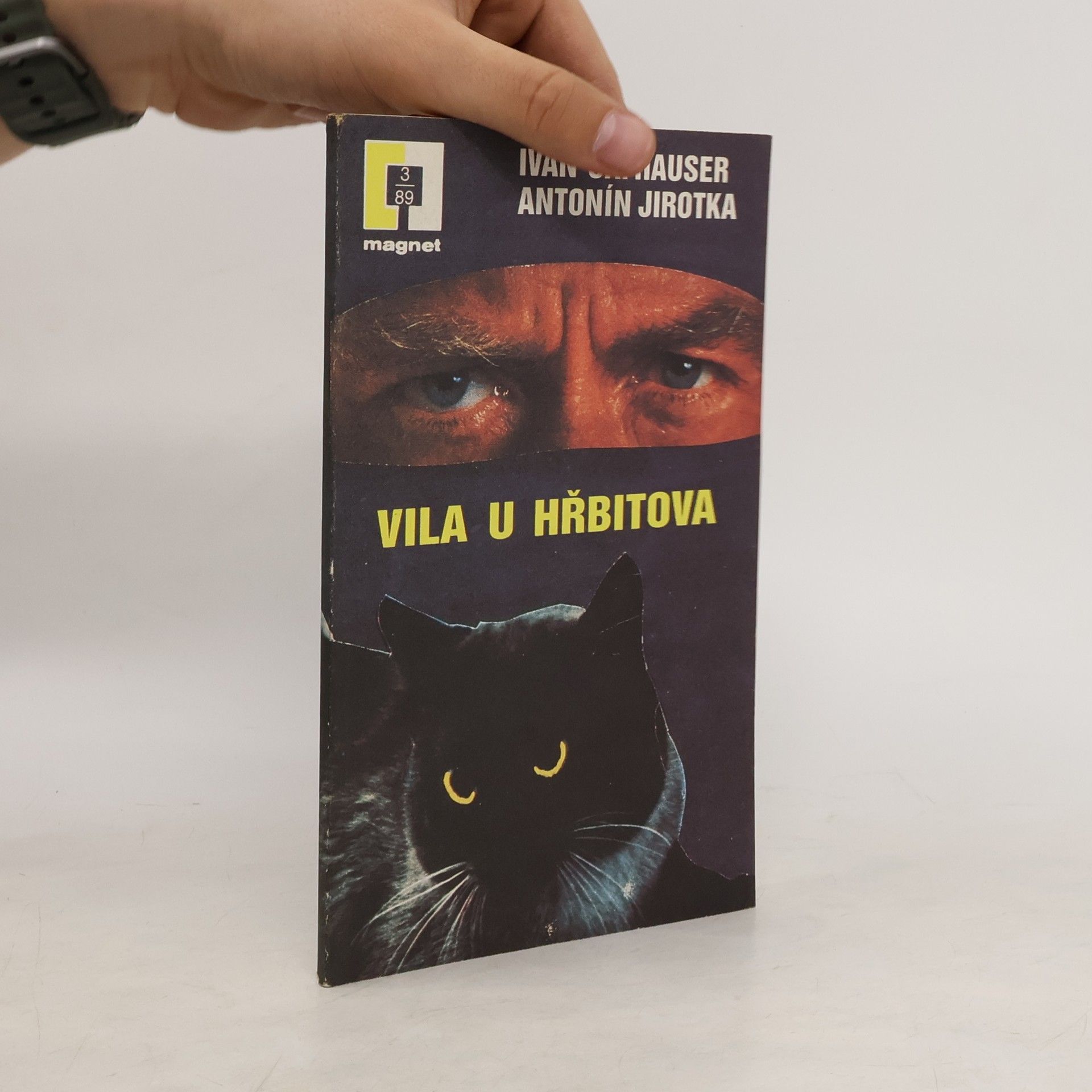 Ivan Šafhauser Vila u hřbitova