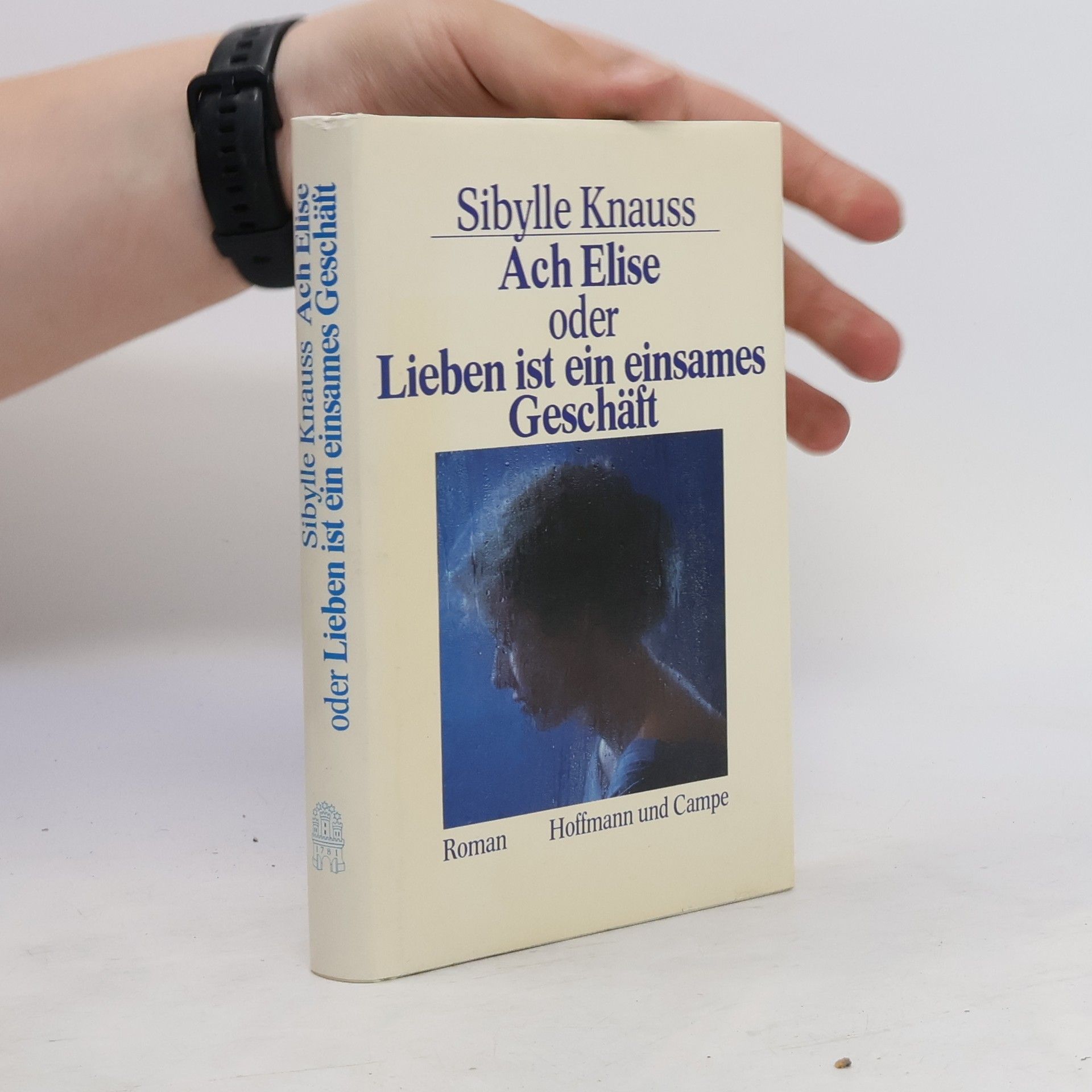 Sibylle Knauss Ach Elise oder Lieben ist ein einsames Geschäft