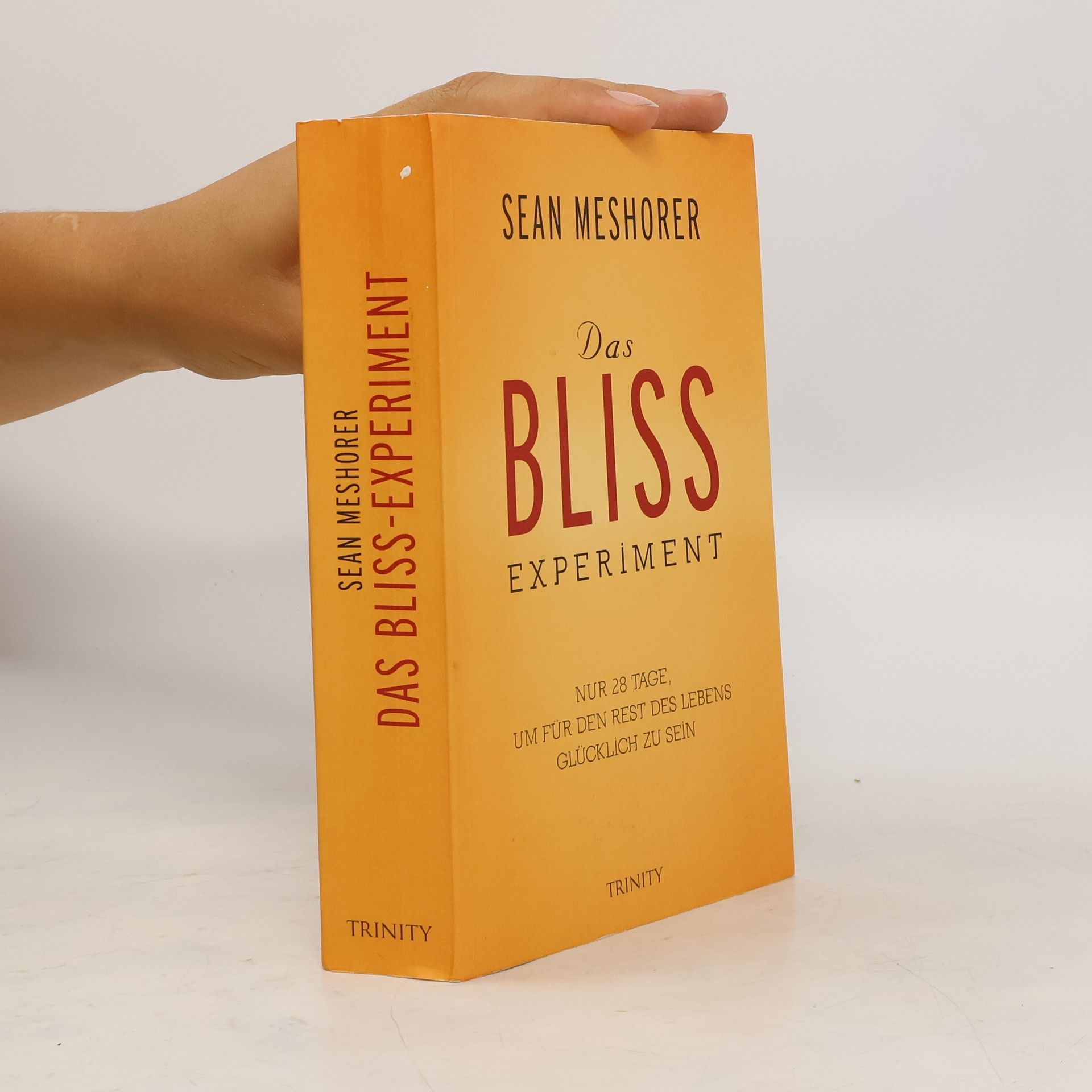 Sean Meshorer Das Bliss-Experiment