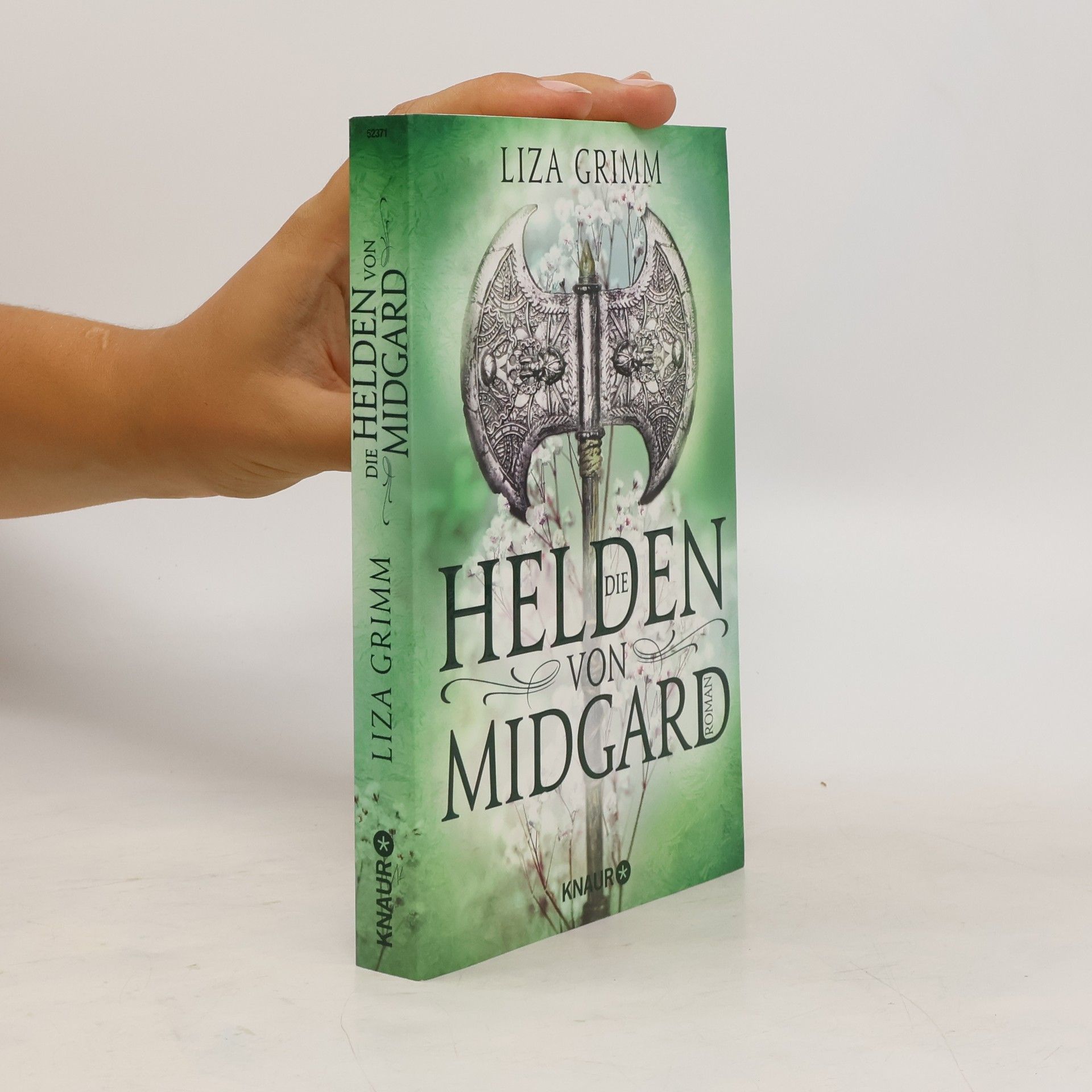 Liza Grimm Die Helden von Midgard