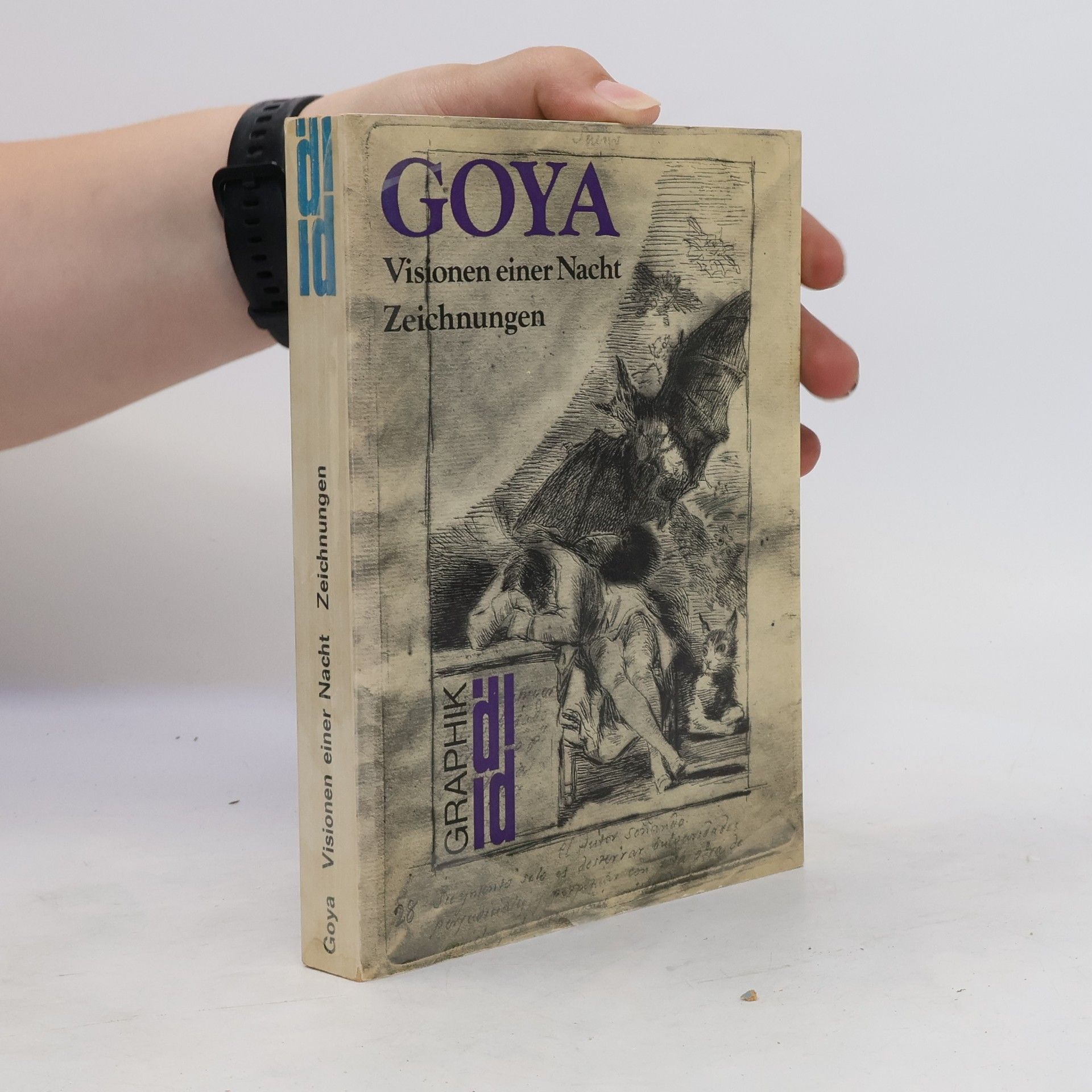 Francisco Goya Visionen einer Nacht