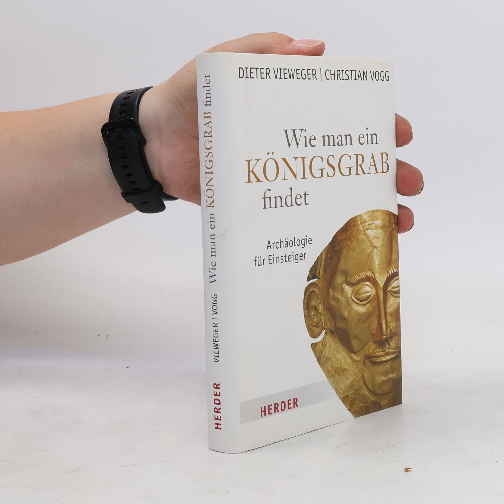 Dieter Vieweger Wie man ein Königsgrab findet