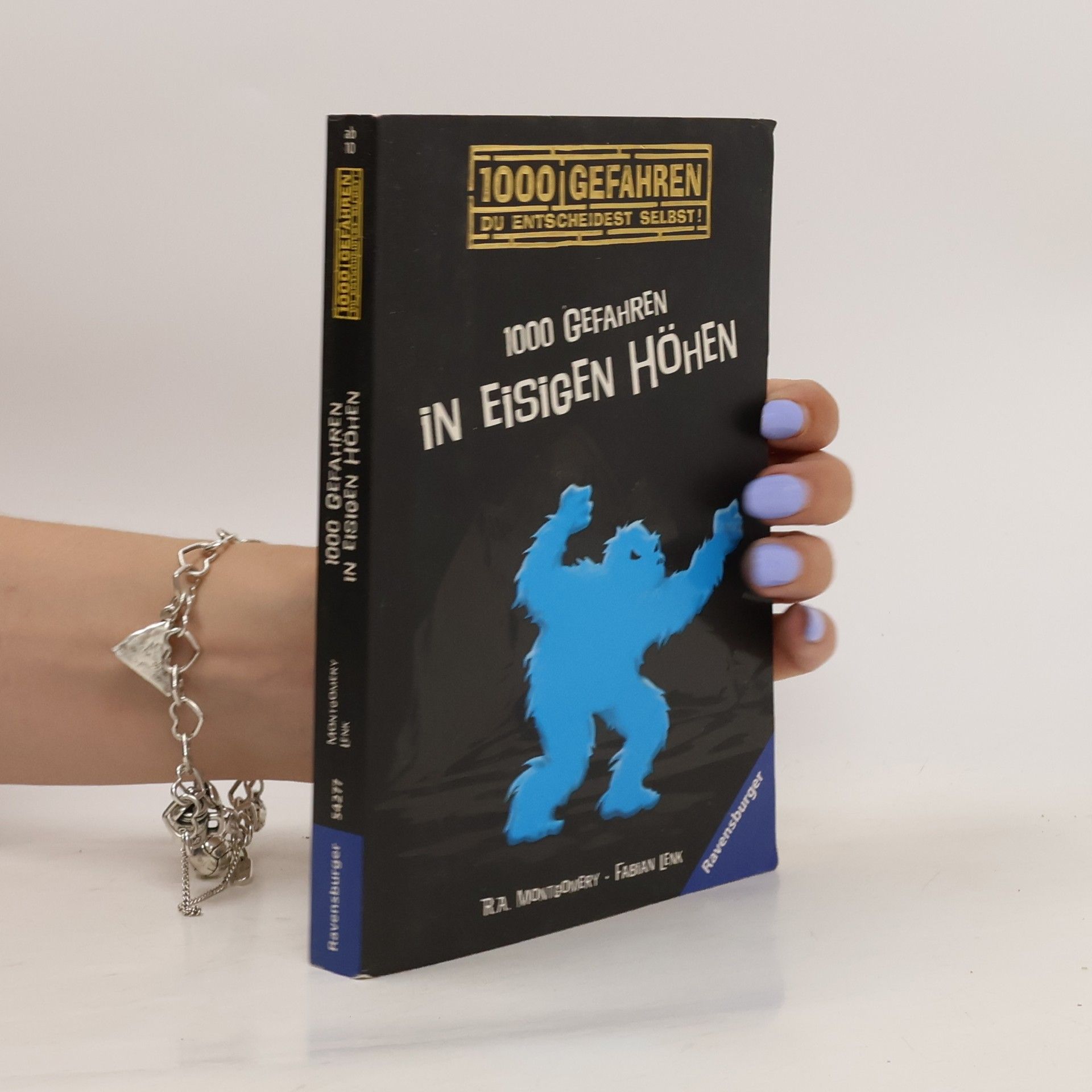 R. A. Montgomery 1000 Gefahren in eisigen Höhen