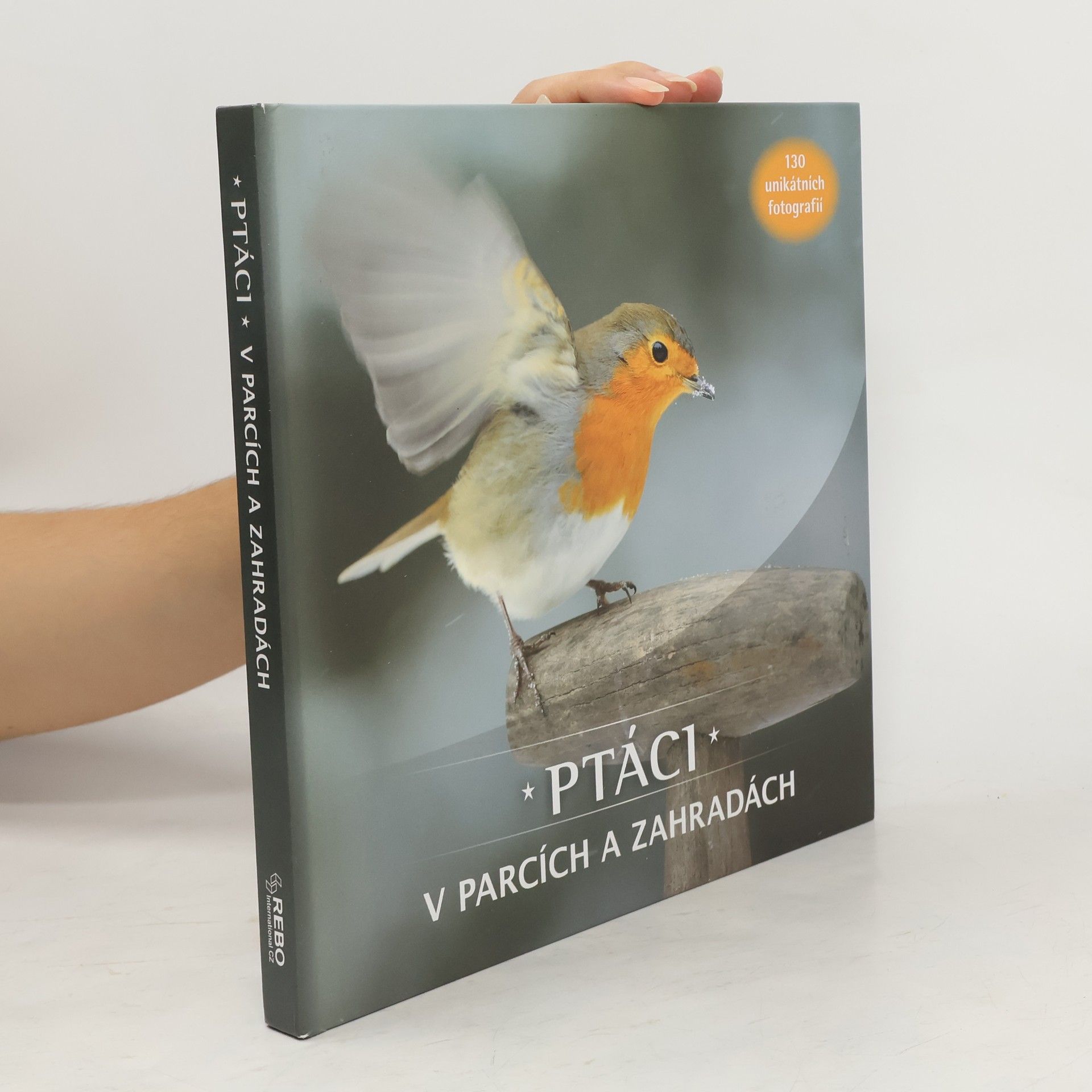 Jaap Schelvis Ptáci v parcích a zahradách