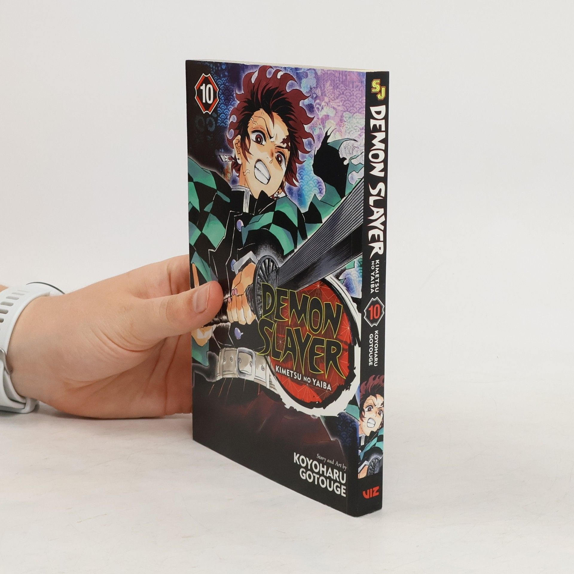 Koyoharu Gotoge Demon Slayer. Kimetsu no Yaiba 10