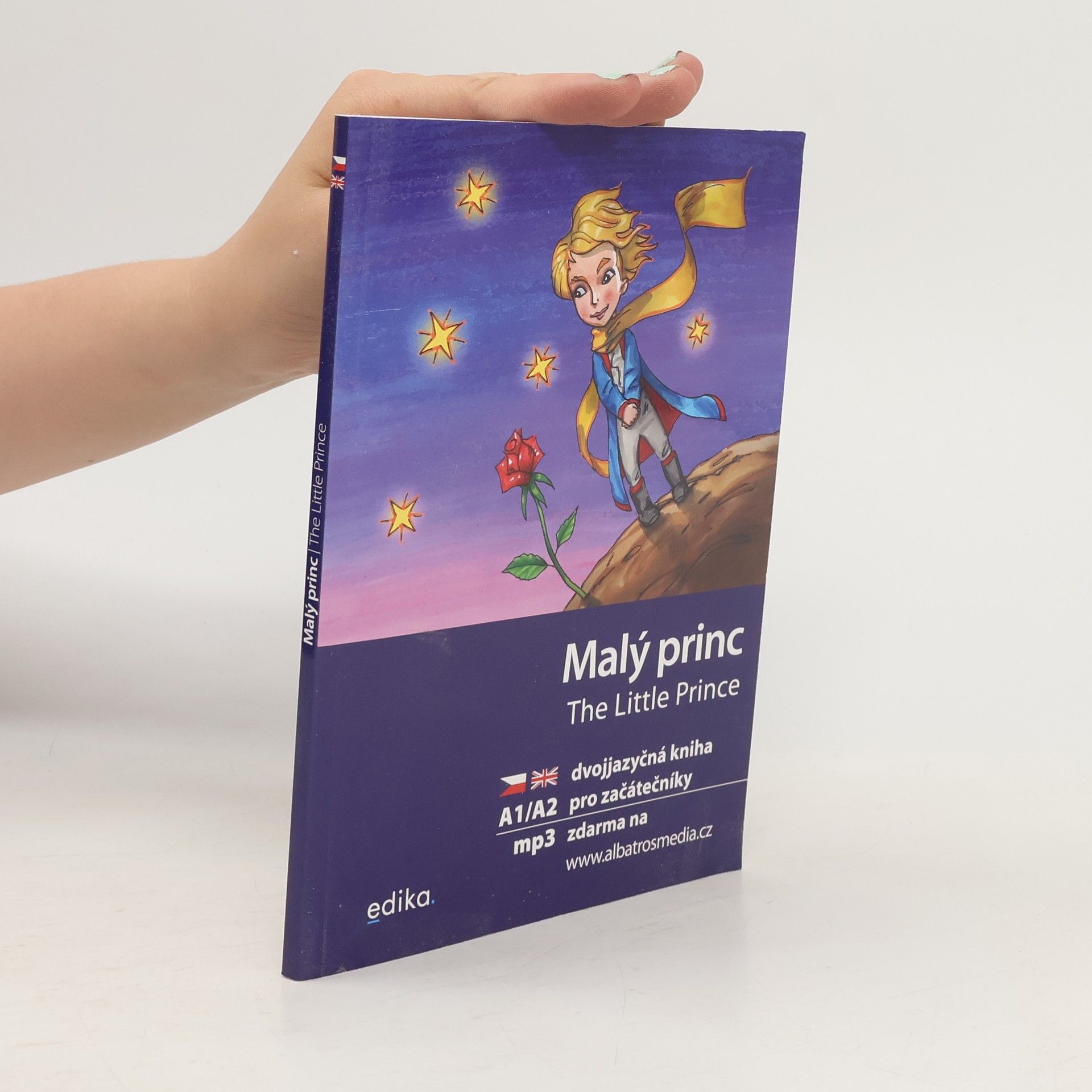 Dana Olšovská Malý princ / The Little Prince