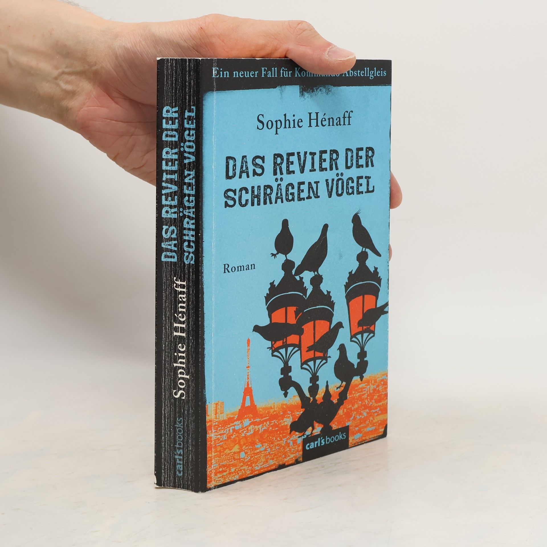Sophie Hénaff Das Revier der schrägen Vögel