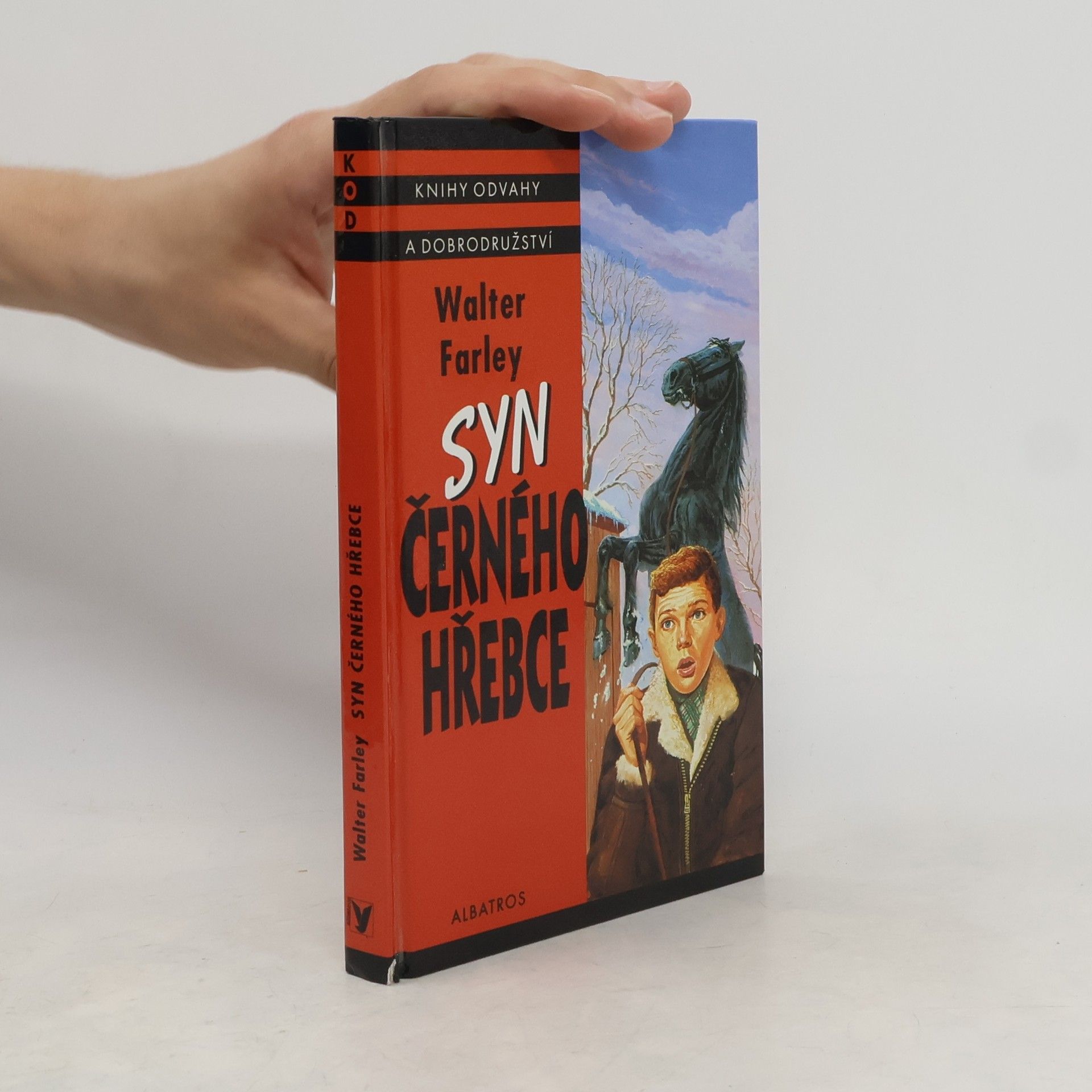 Walter Farley Syn černého hřebce