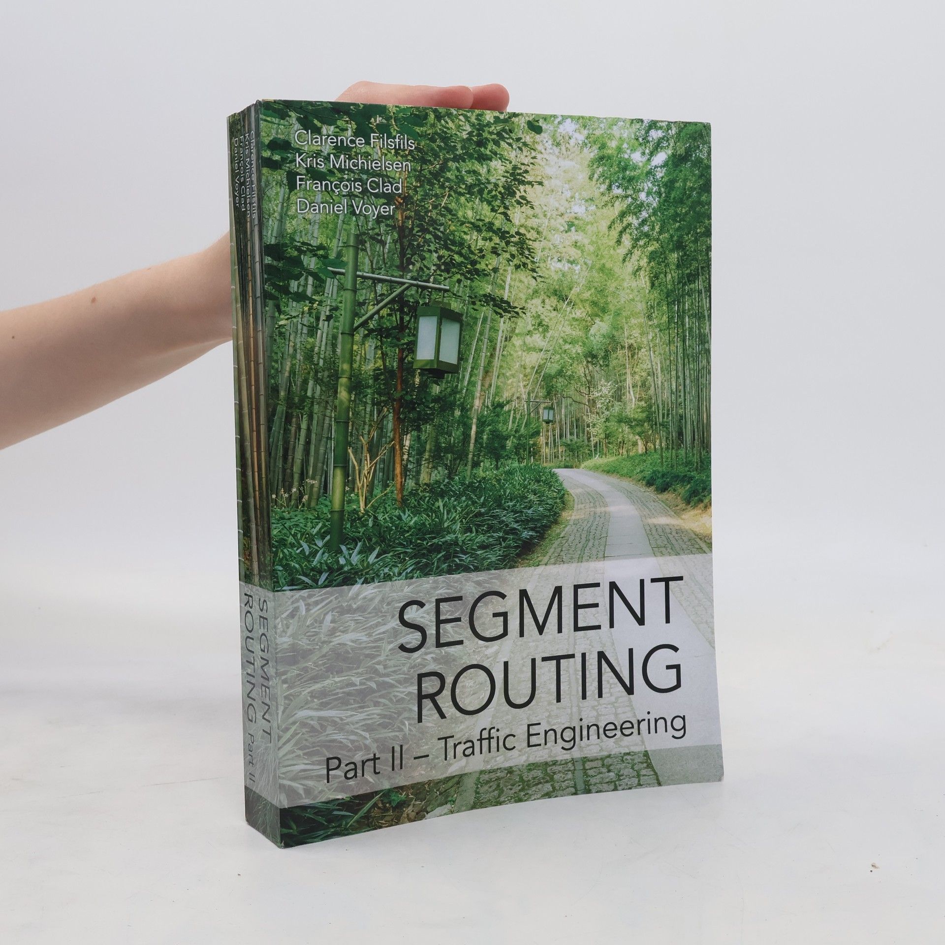 Collective Segment routing. Part II, Traffic engineering