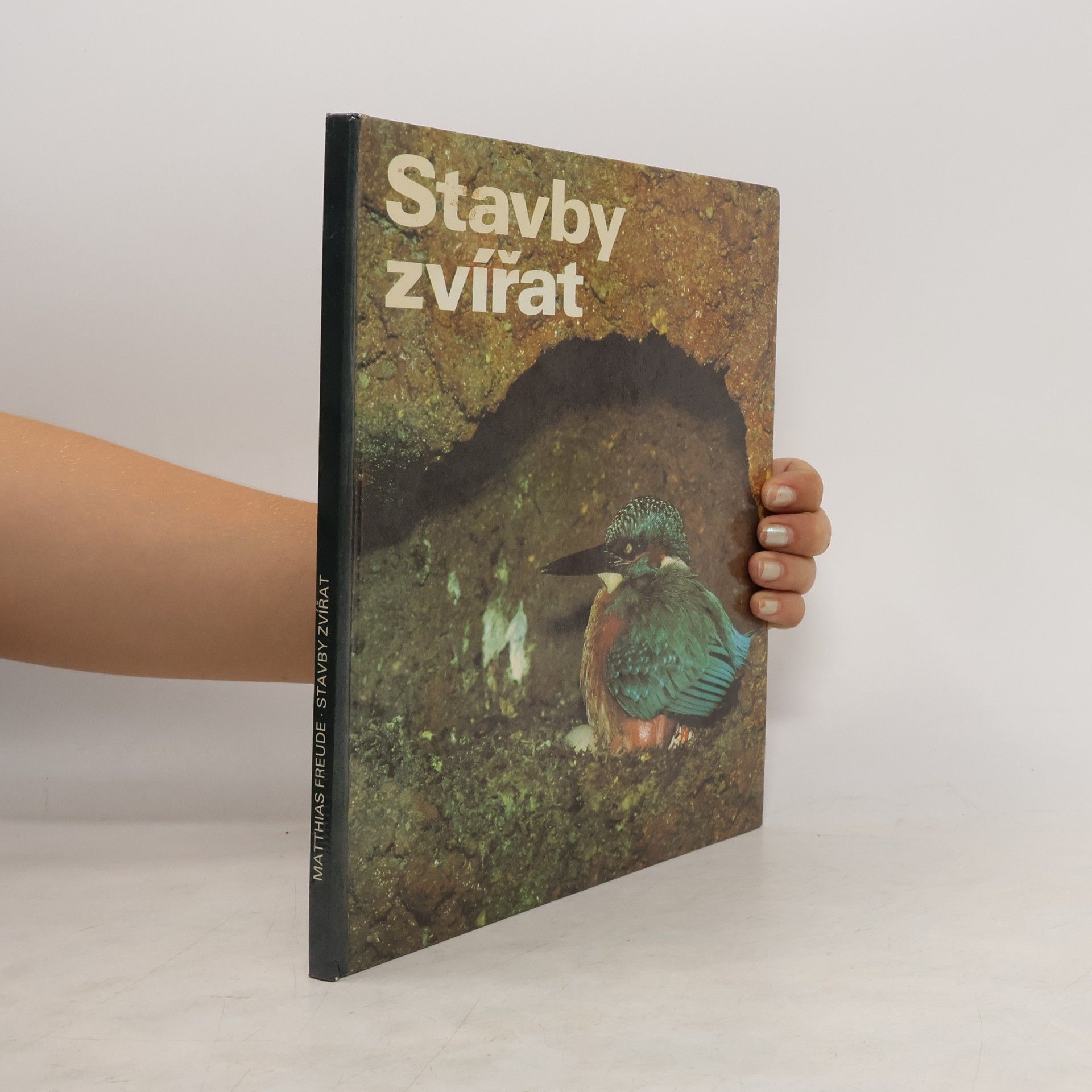 Matthias Freude Stavby zvířat