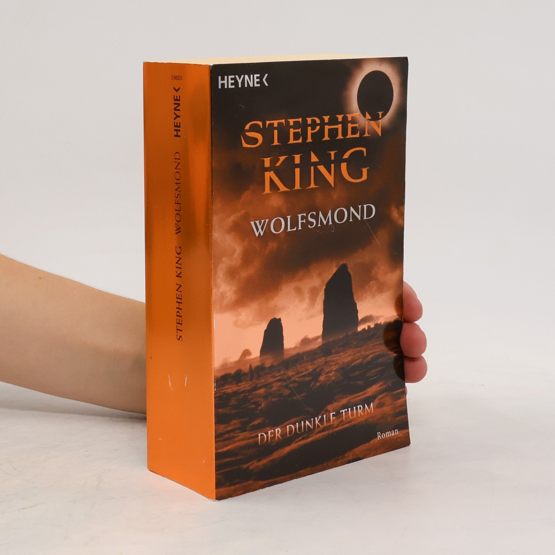 Stephen King Der dunkle Turm V.