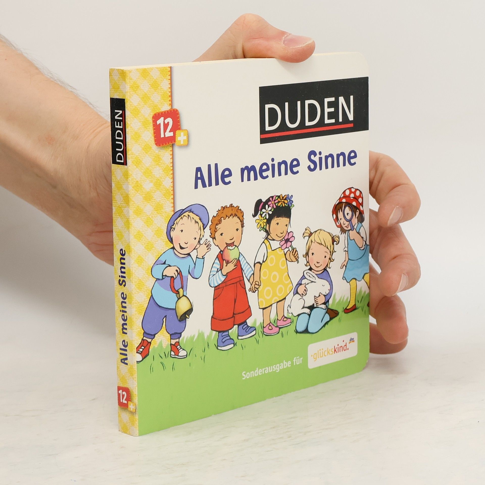 Collectif d'auteurs Alle meine Sinne