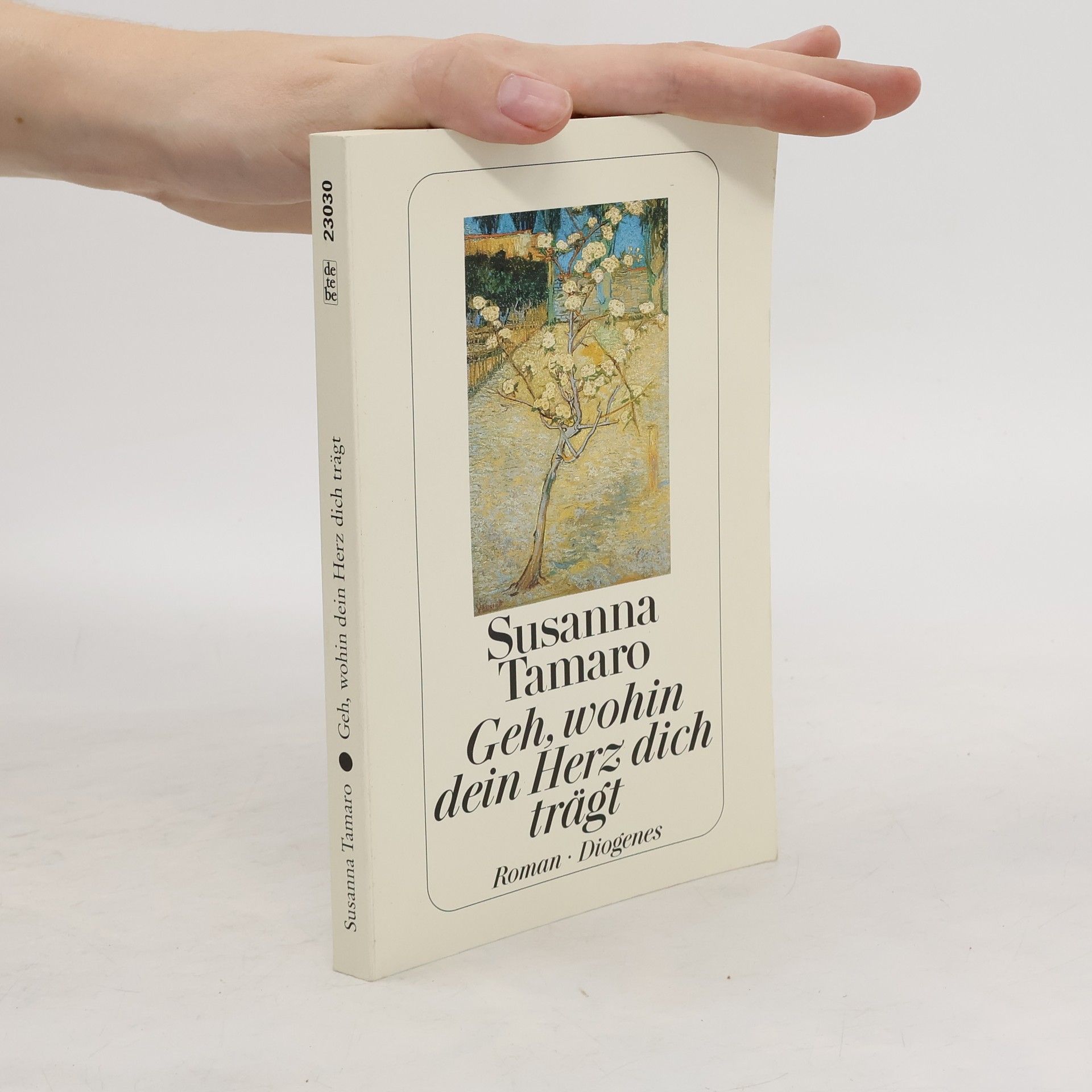 Susanna Tamaro Geh, wohin dein Herz dich trägt