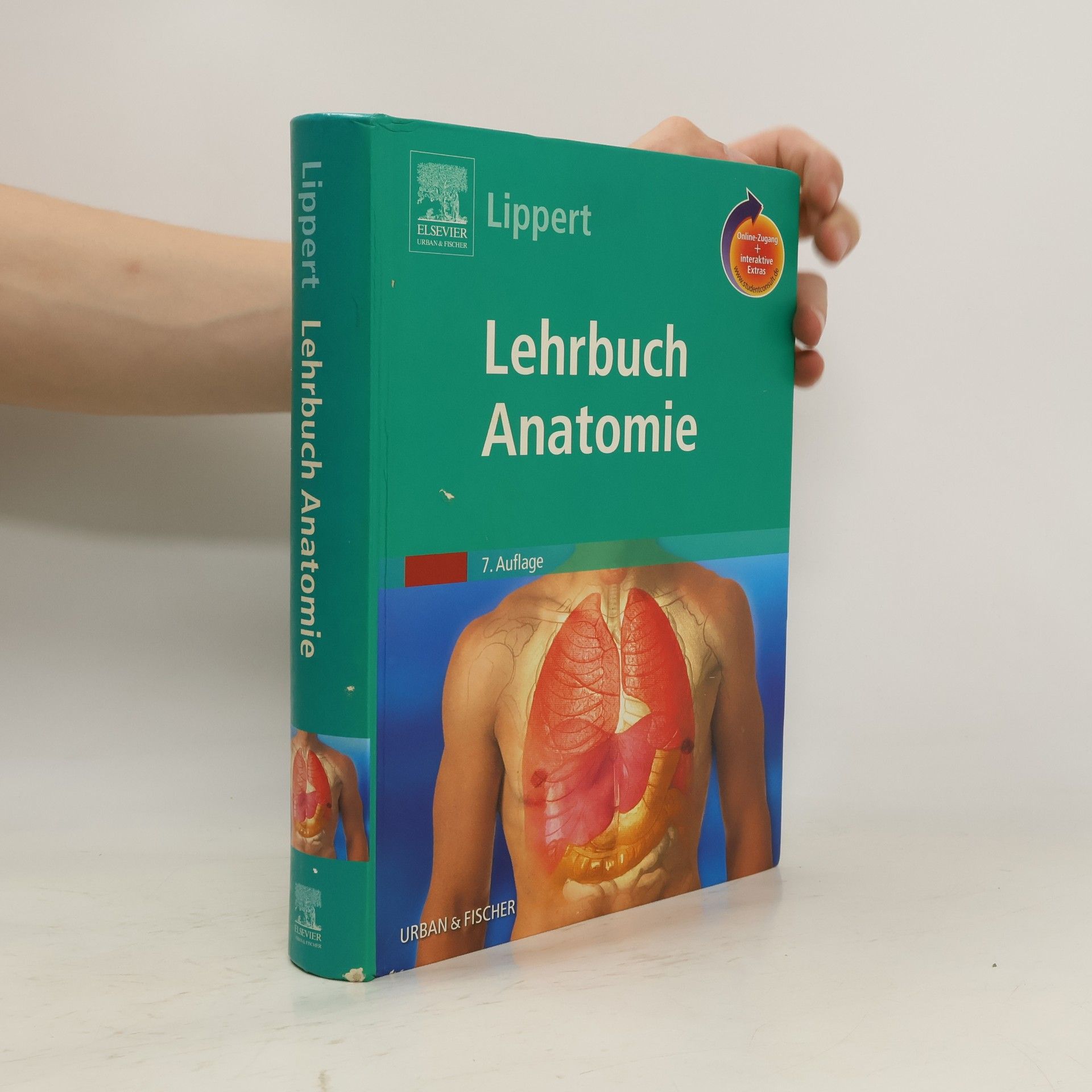 Herbert Lippert Lehrbuch Anatomie