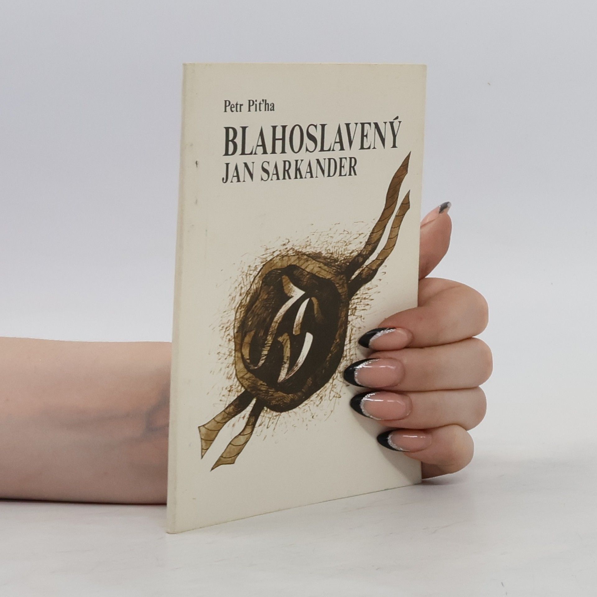 Petr Piťha Blahoslavený Jan Sarkander
