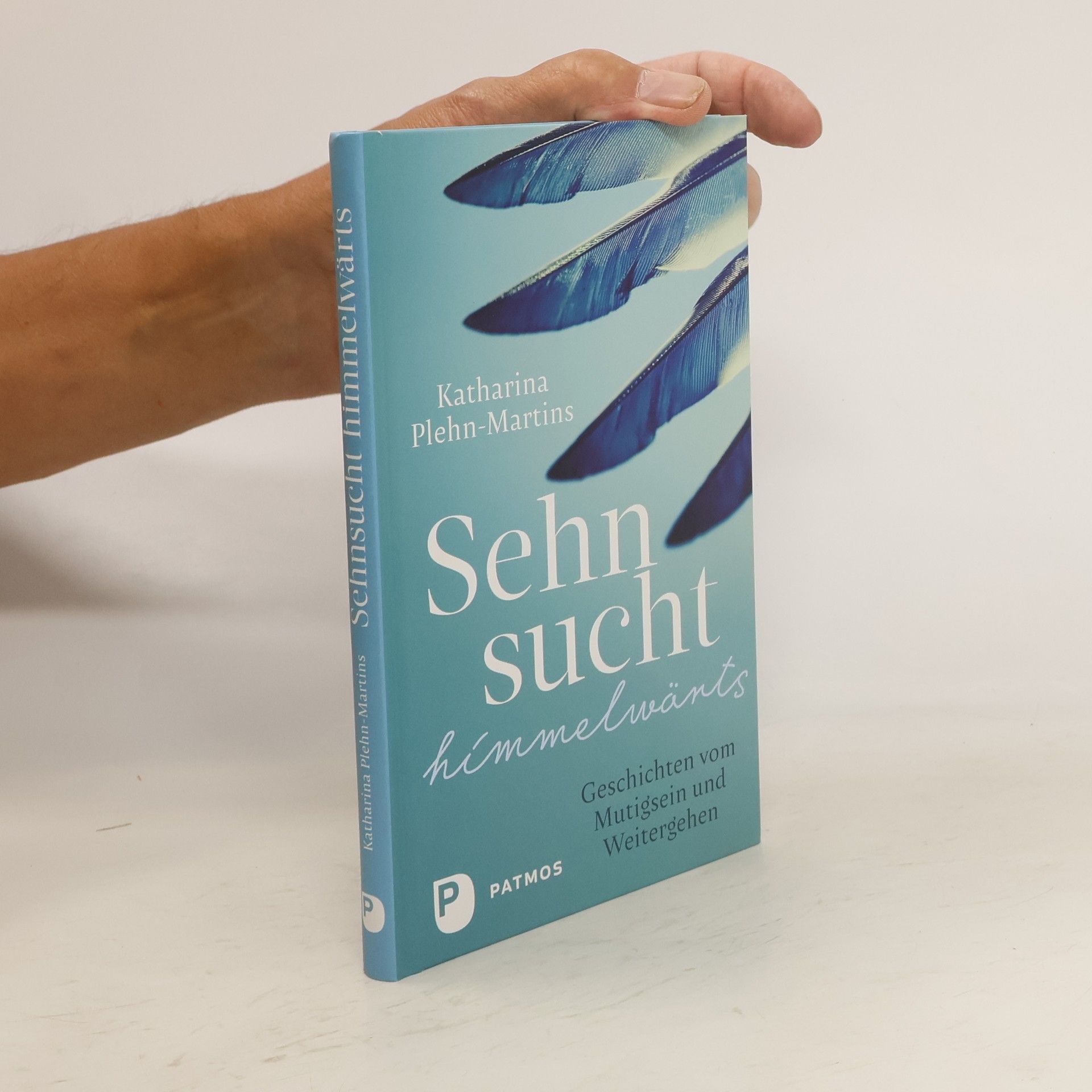 Katharina Plehn-Martins Sehnsucht himmelwärts
