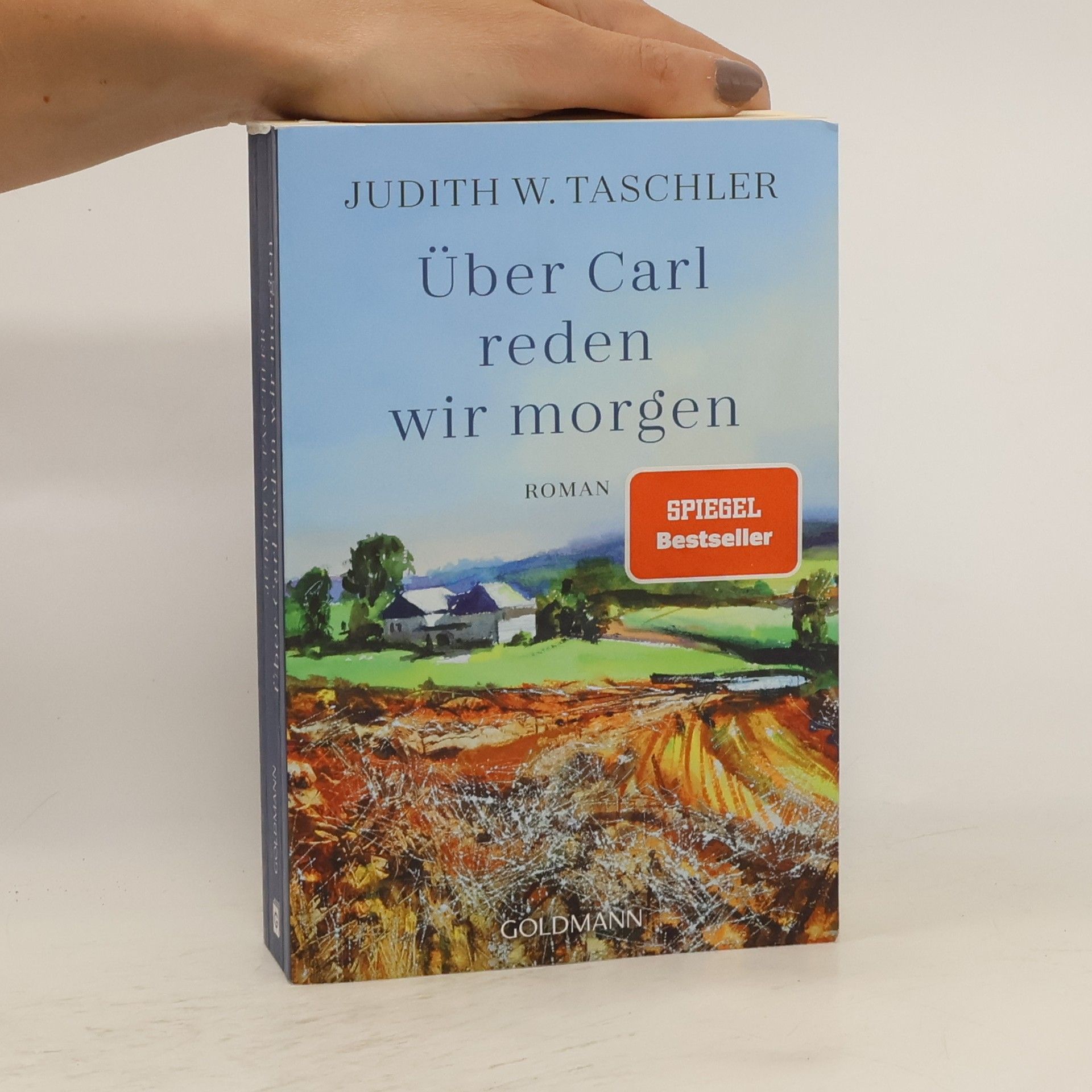 Judith W Taschler Über Carl reden wir morgen