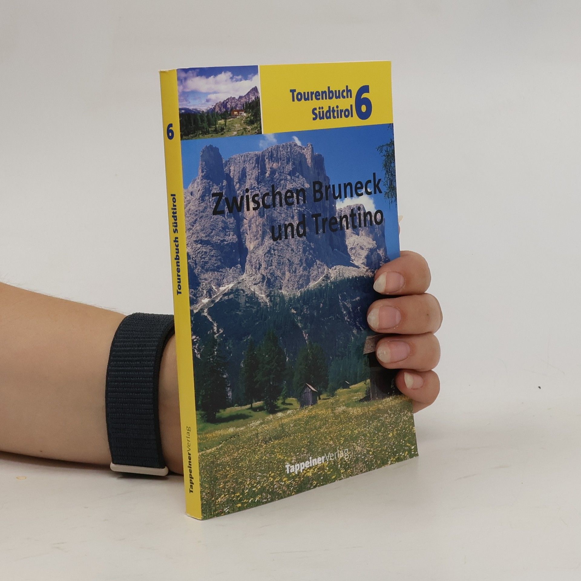 Hans Kämmerer Tourenbuch Südtirol 6. Zwischen Bruneck und Corvara
