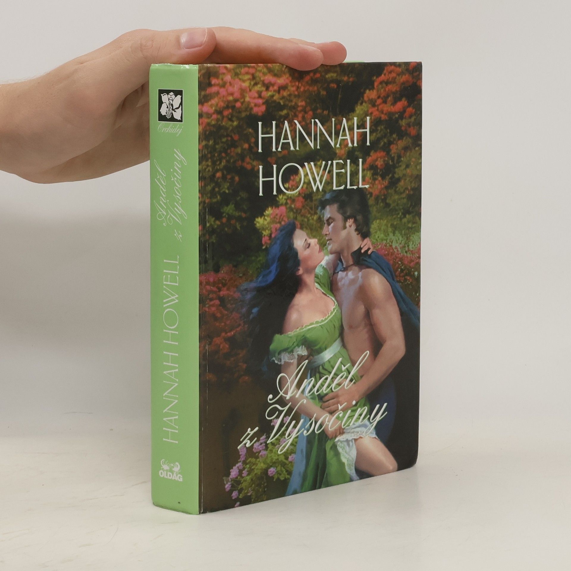 Hannah Howell Anděl z Vysočiny
