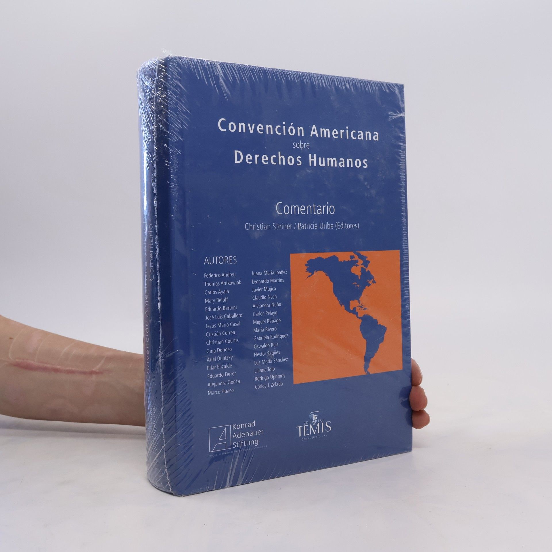 Christian Steiner Convención Americana sobre derechos humanos