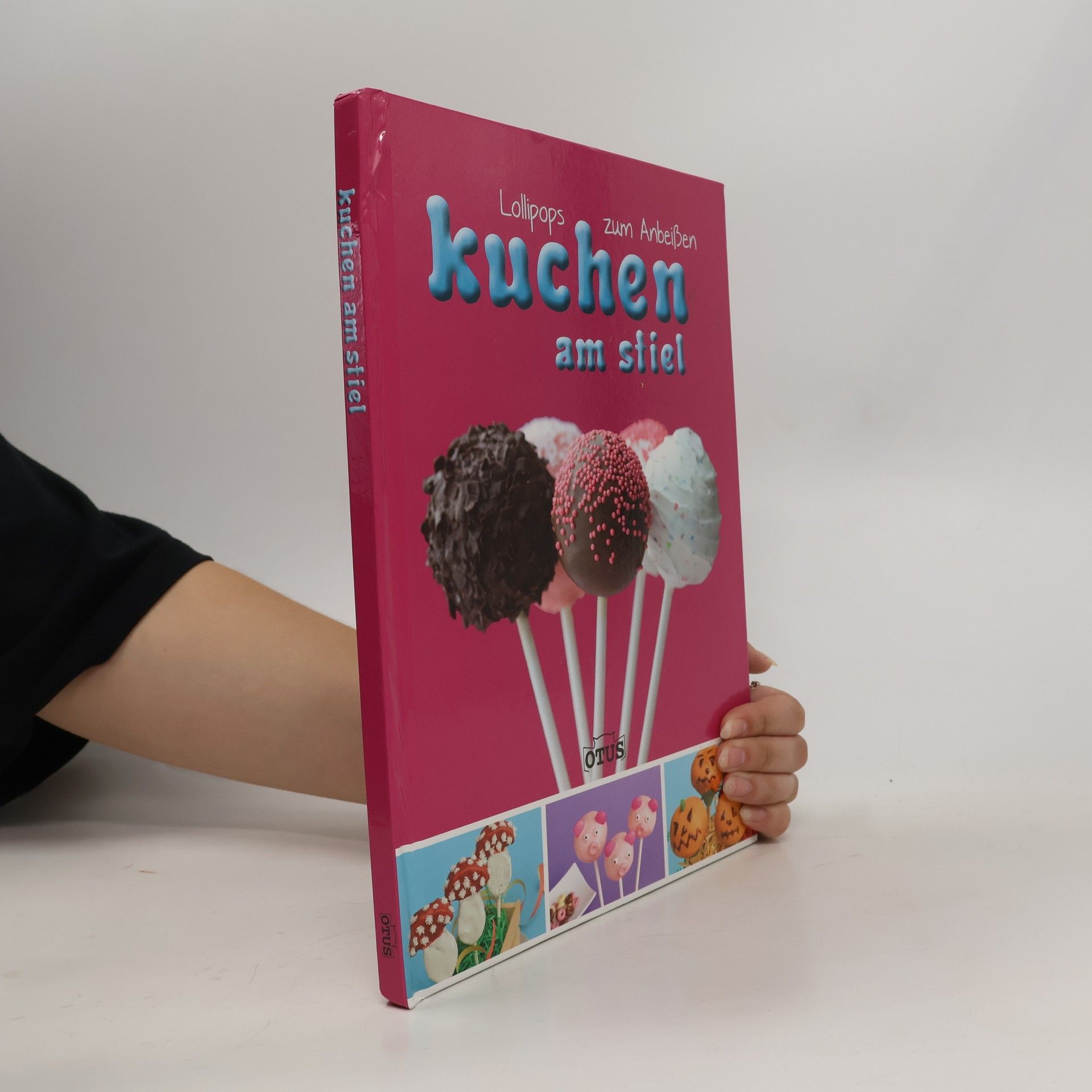Autorenkollektiv Kuchen am Stiel