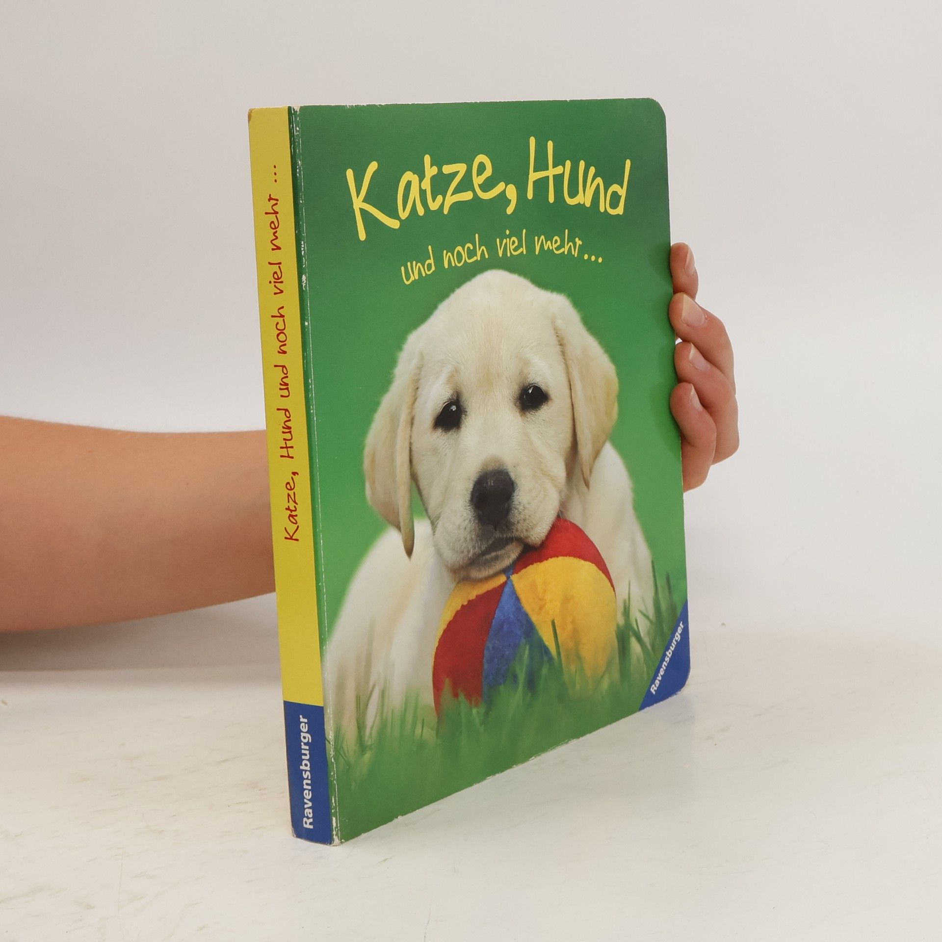 Christine Meier Katze, Hund und noch viel mehr ...