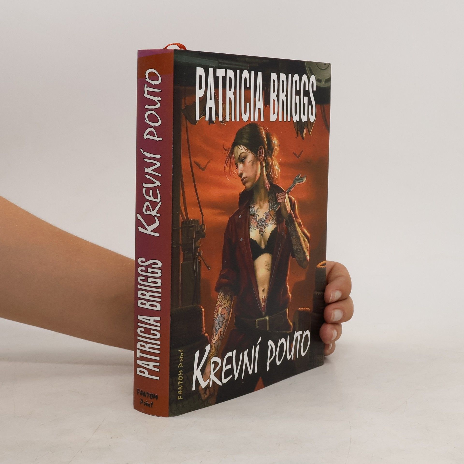 Patricia Briggs Krevní pouto