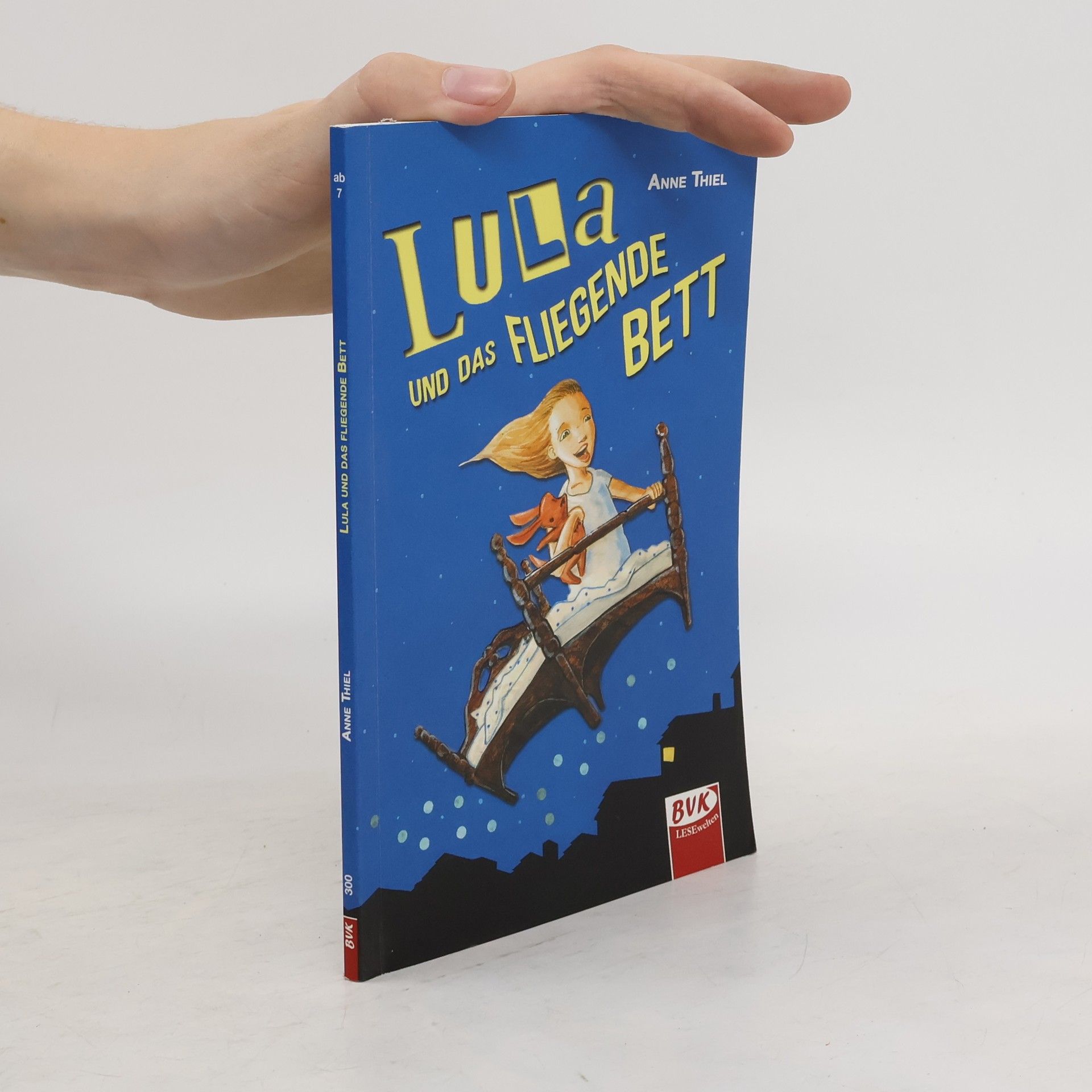 Anne Thiel Lula und das fliegende Bett